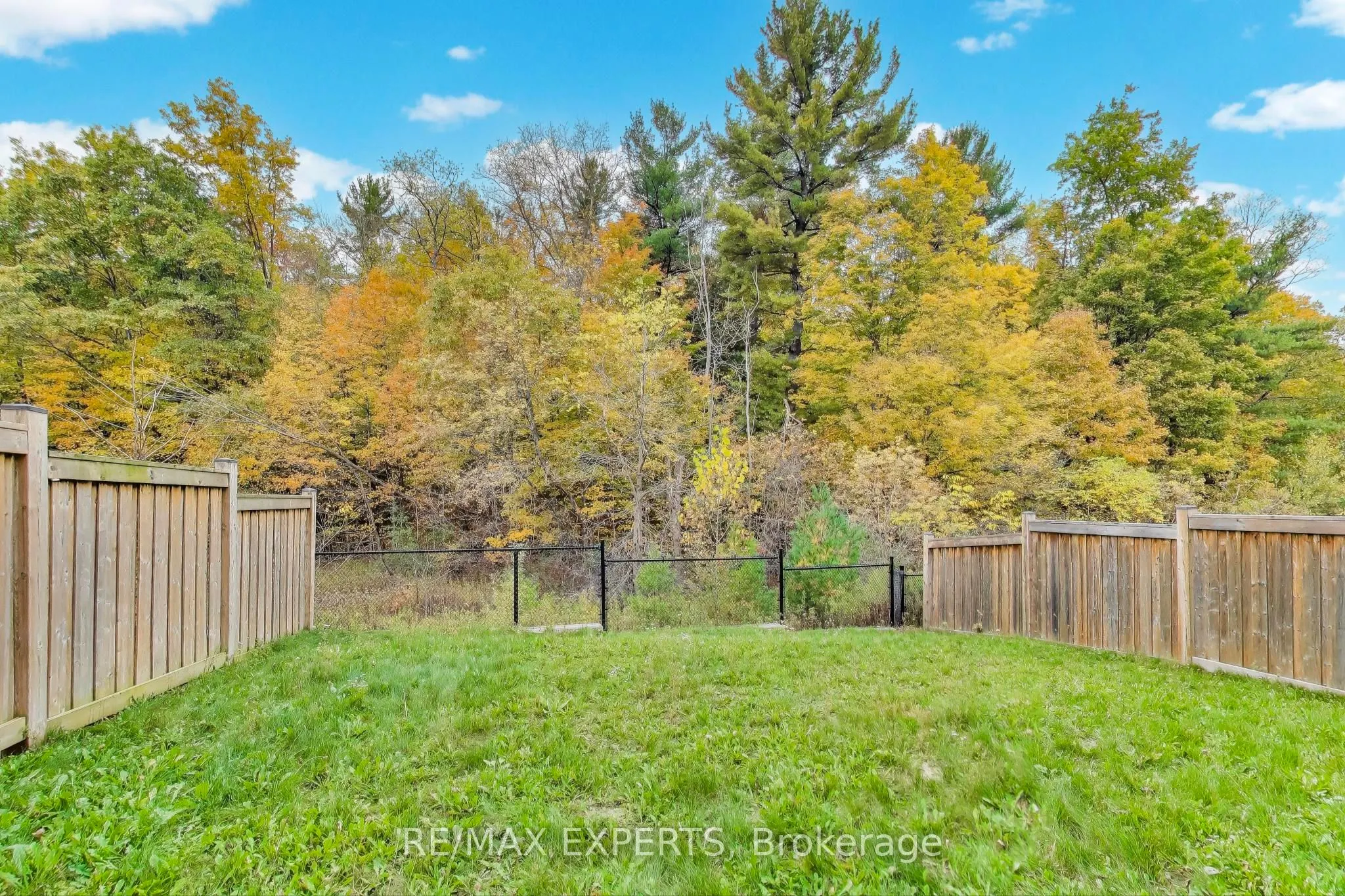 216 Butternut Ridge Trail