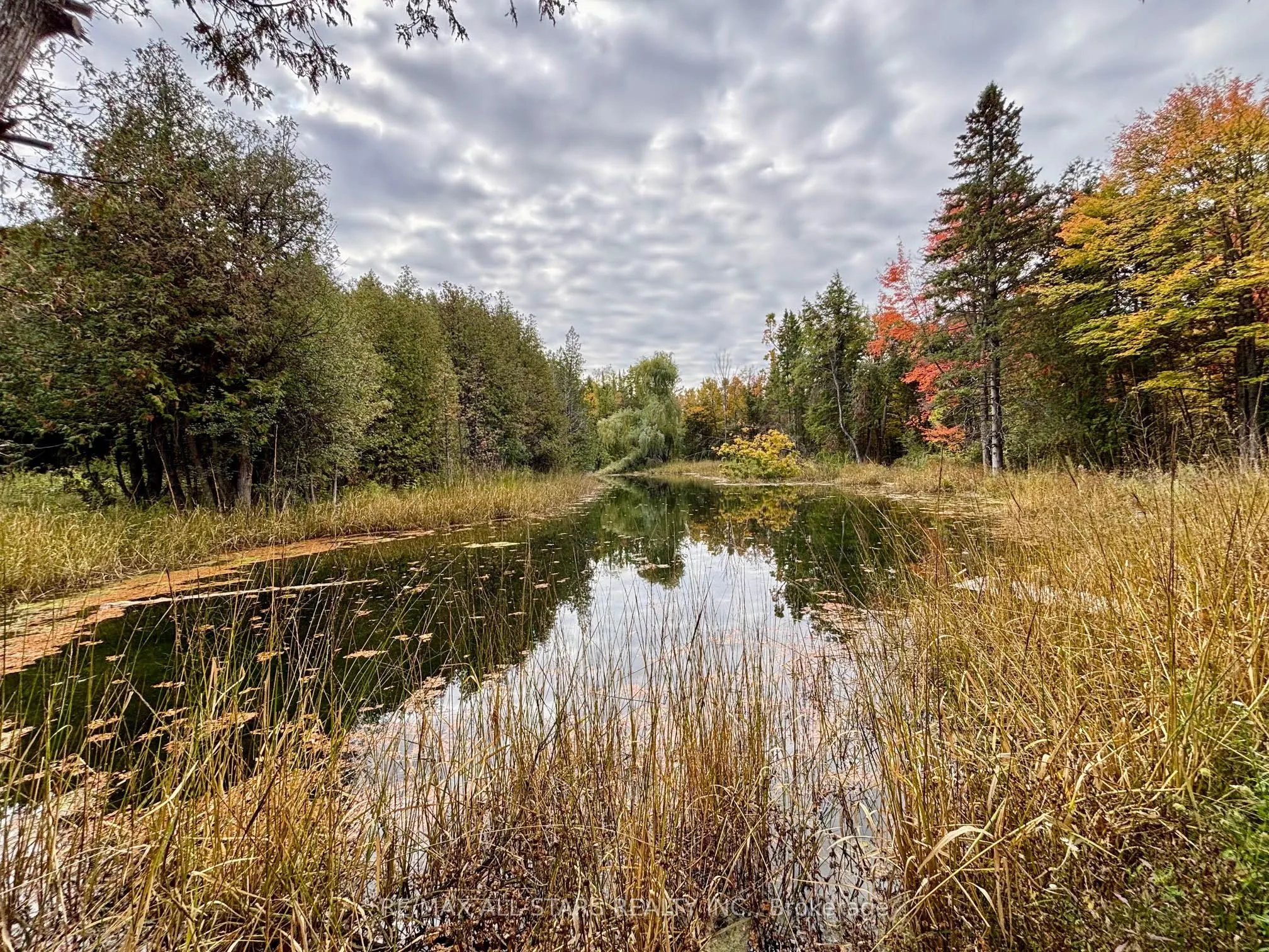 14200 Sideroad 18