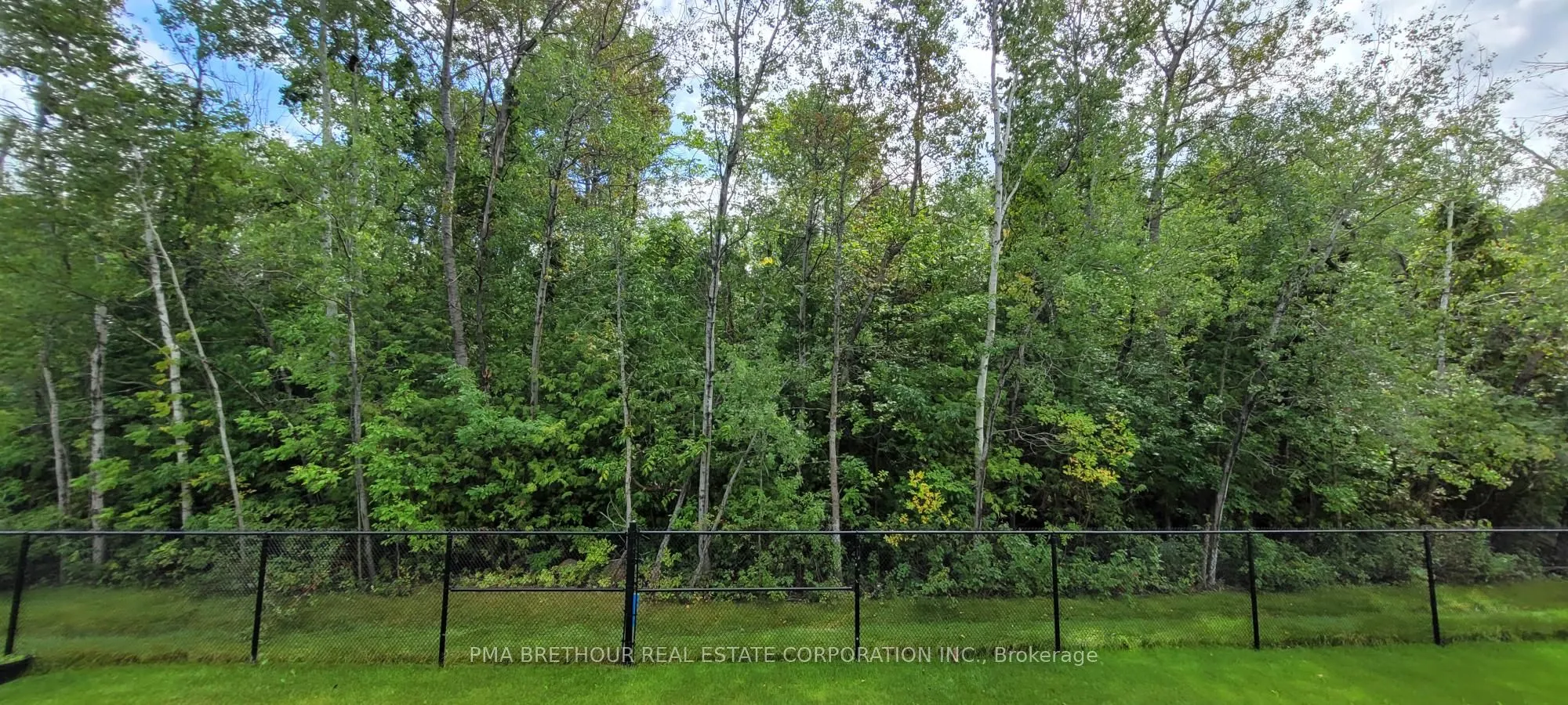 143 Dovedale Drive