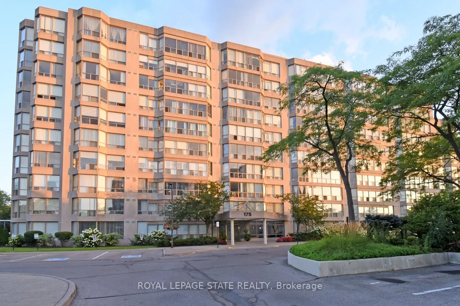 175 Cedar Avenue #215