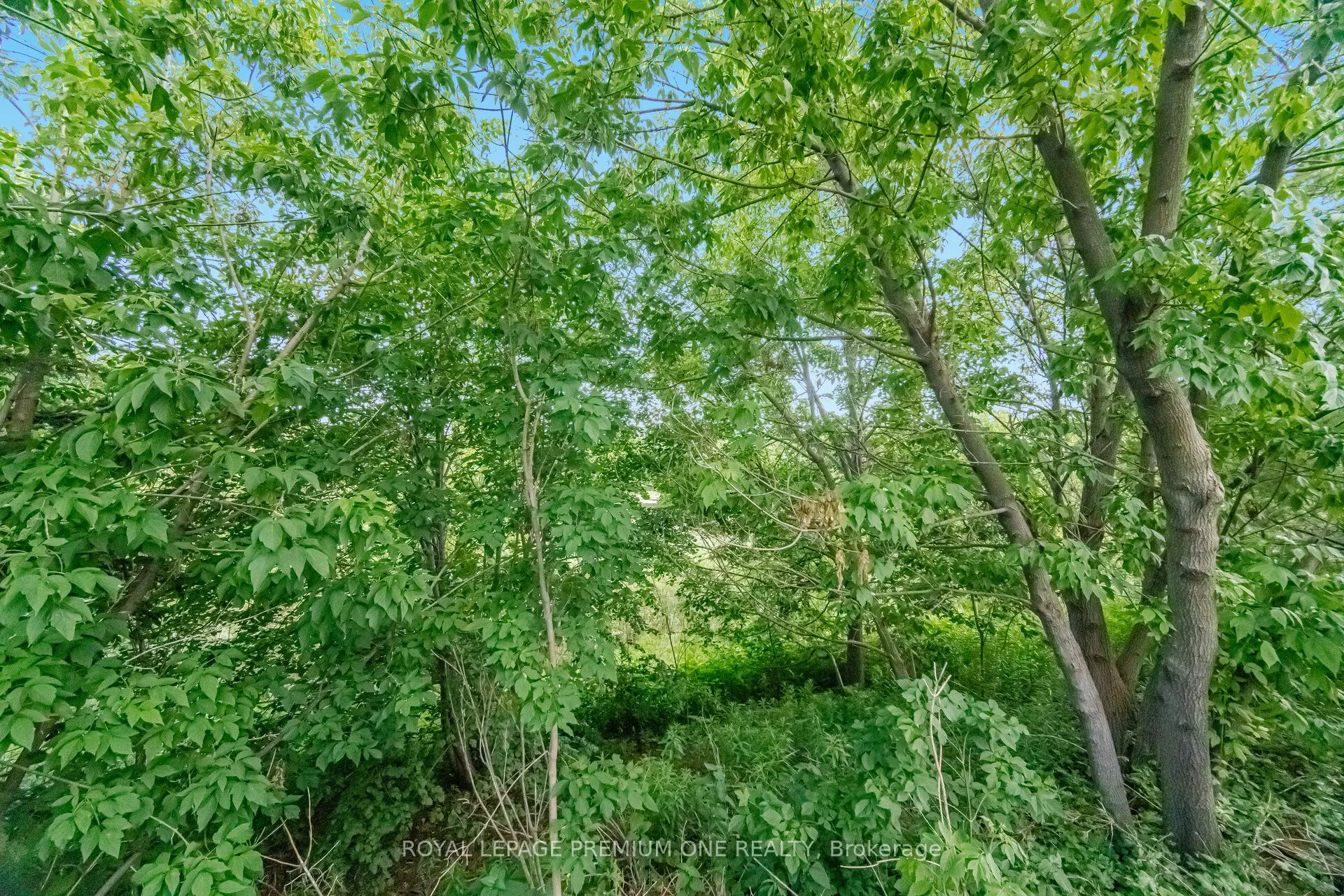 62 Lost Pond Crescent
