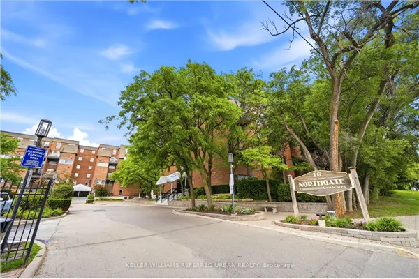 16B Elgin Street
