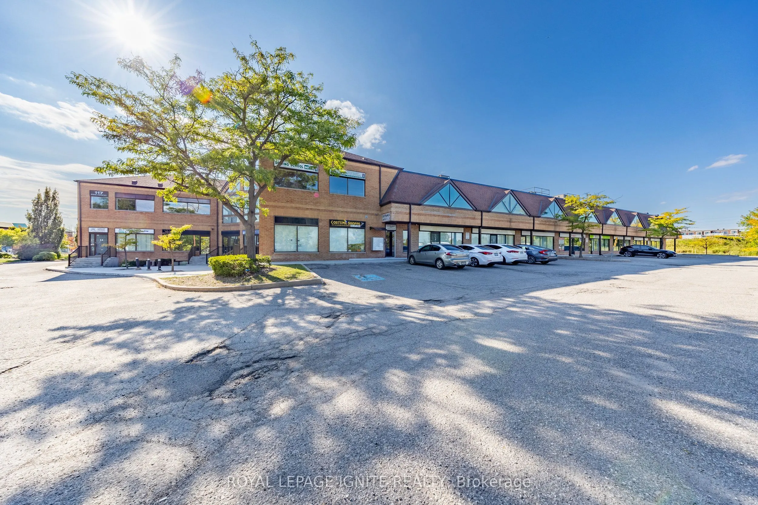 117 Ringwood Drive #11