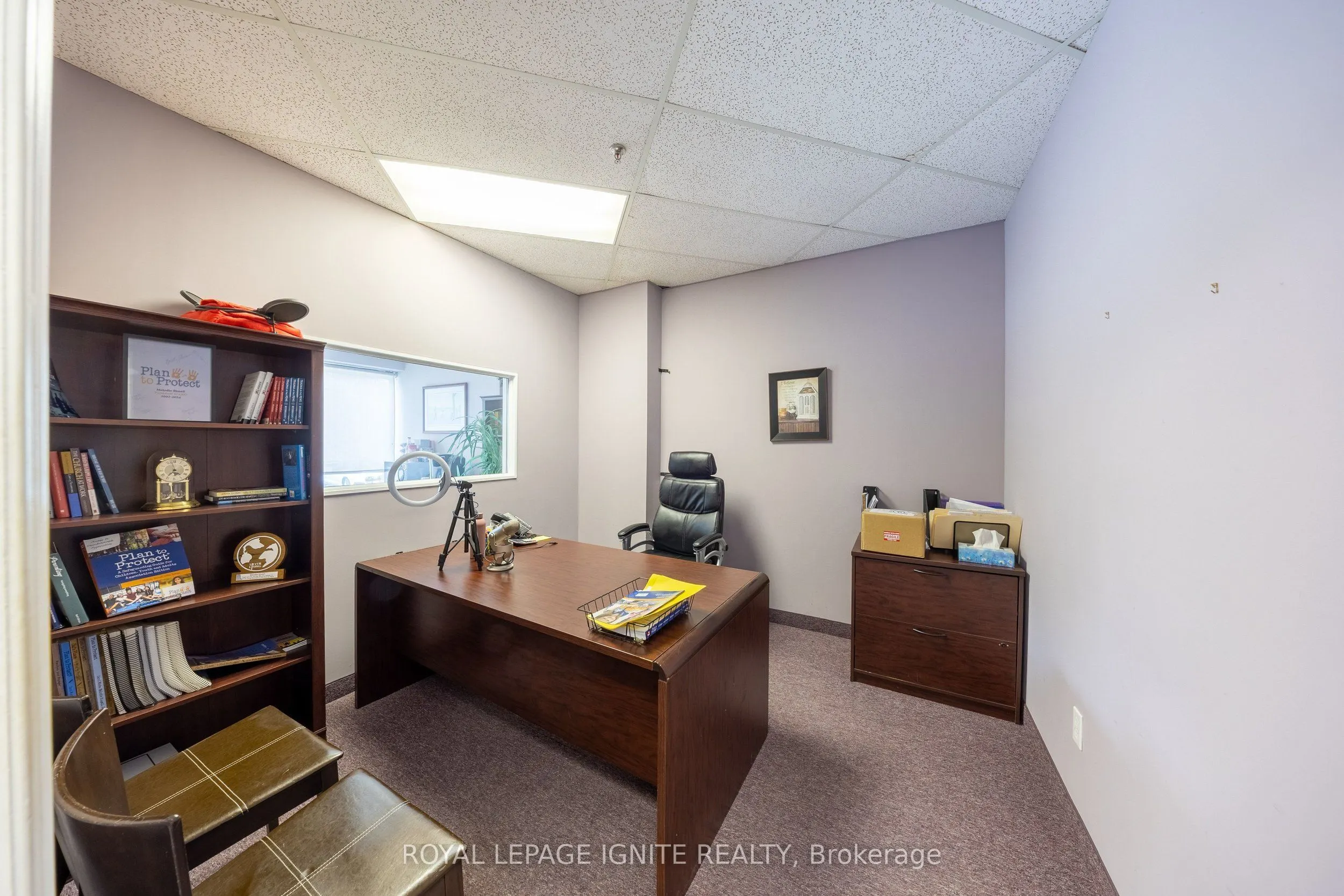 117 Ringwood Drive #11