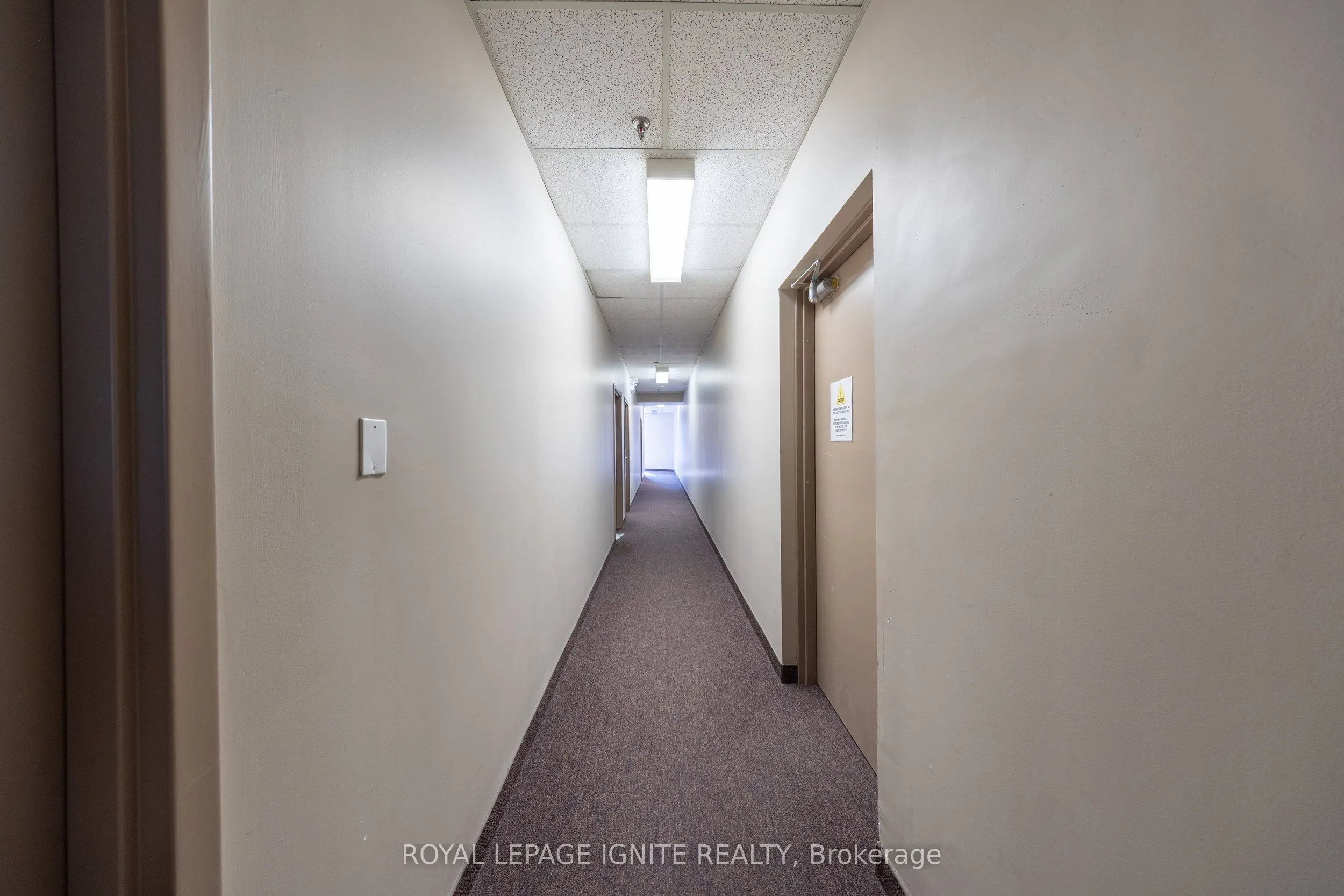 117 Ringwood Drive #11