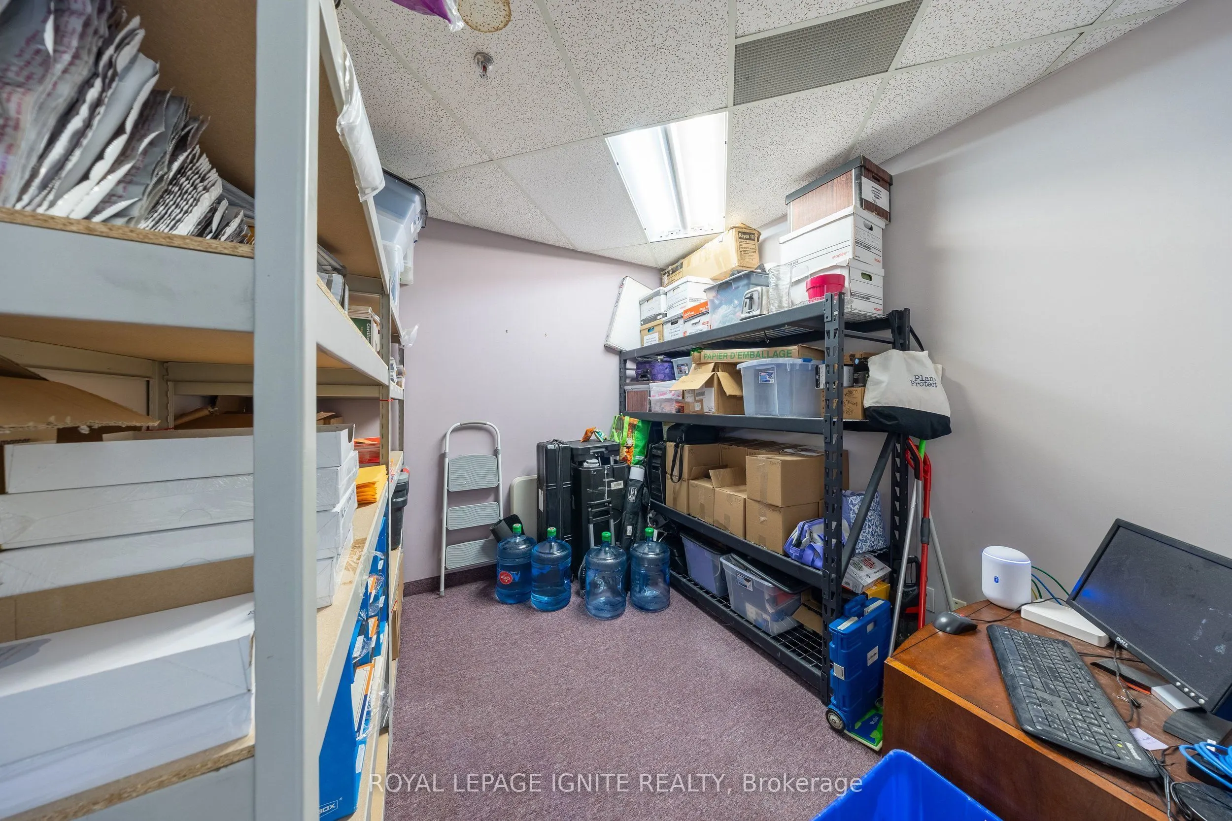 117 Ringwood Drive #11