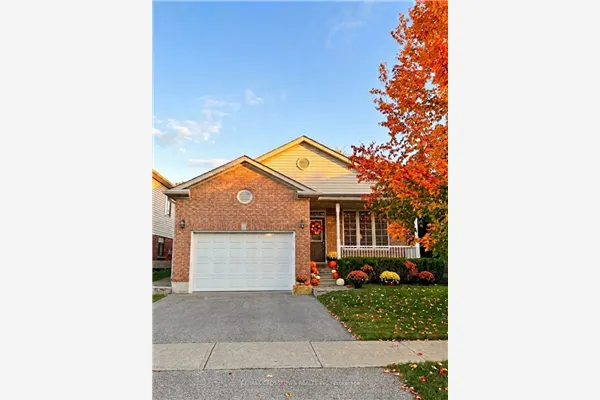 12 Dr. Jones Drive