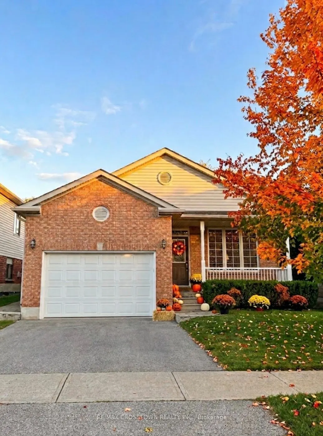 12 Dr. Jones Drive