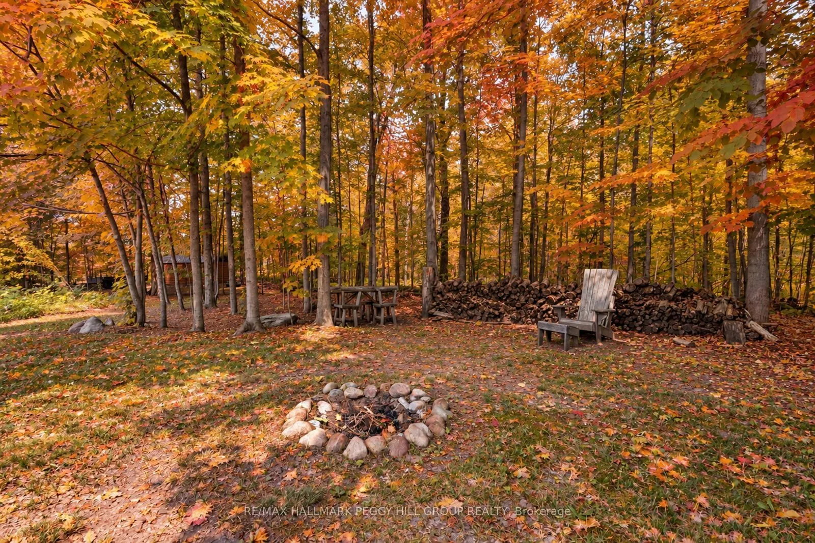 7533 County Road 10