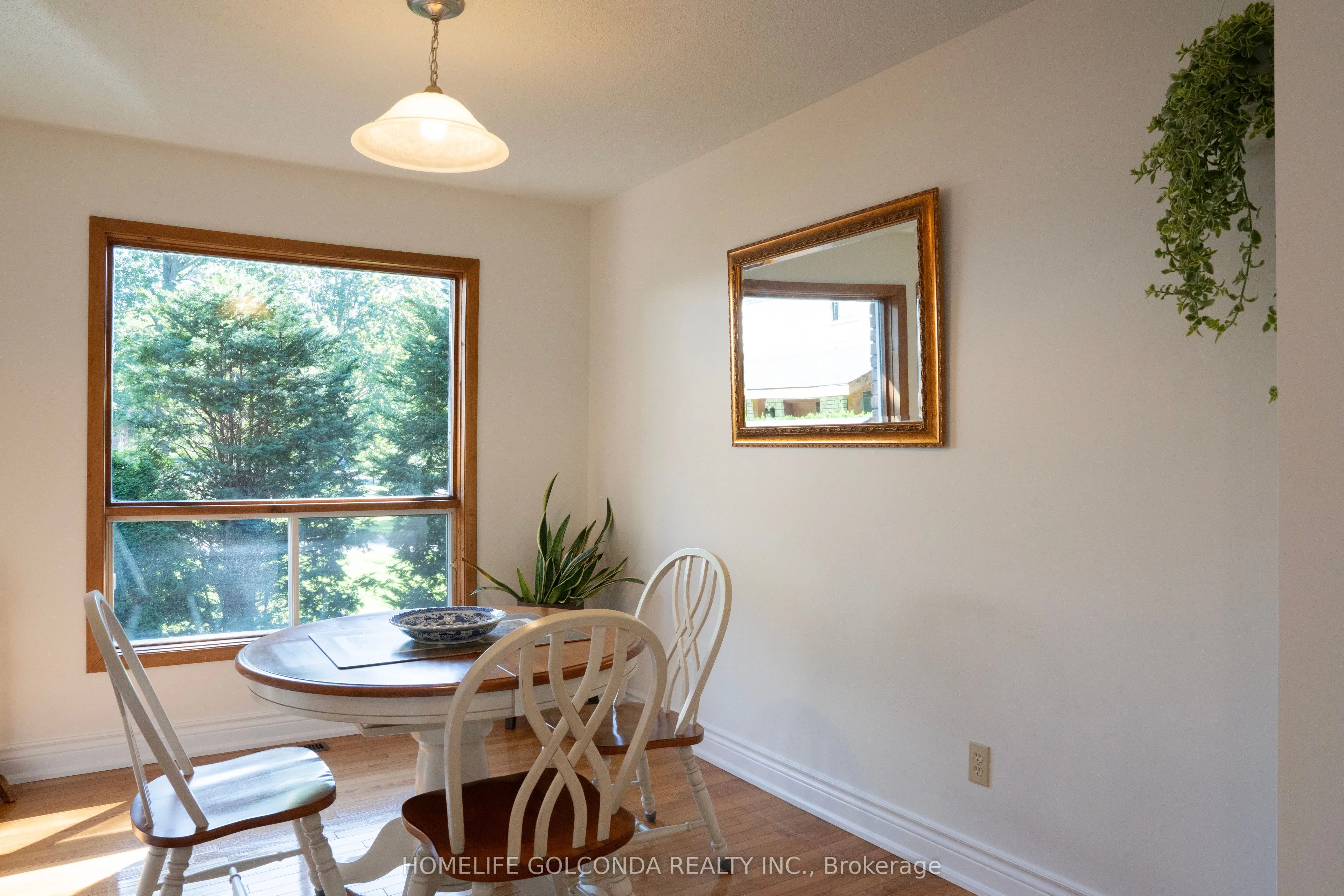 46 Donaldson Road