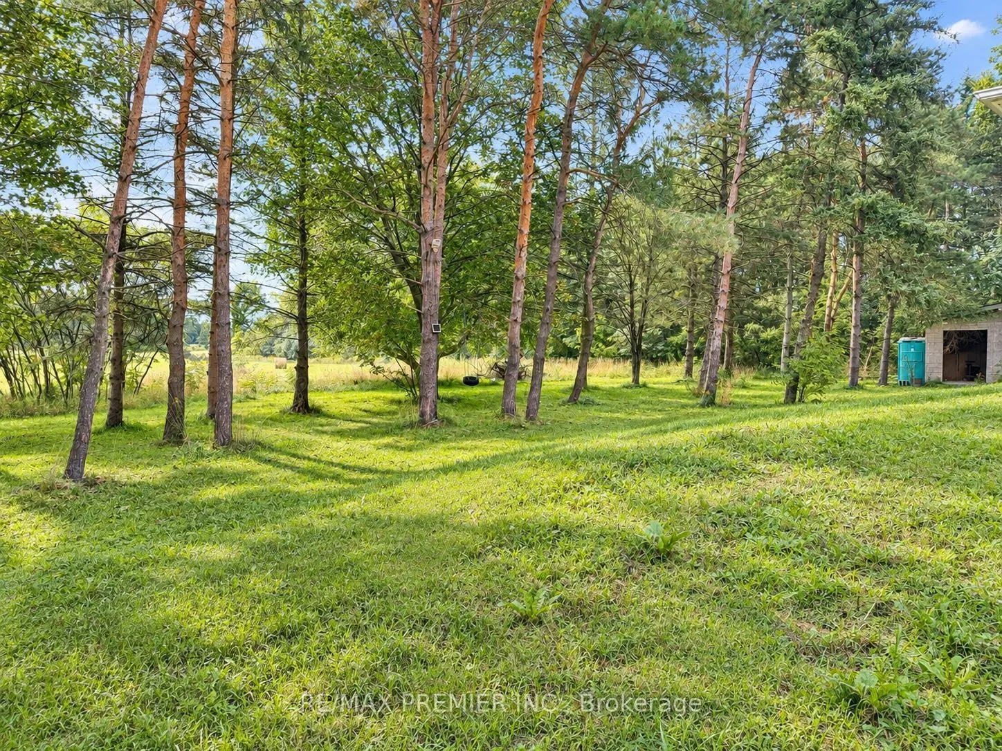 3350 18th Side Road