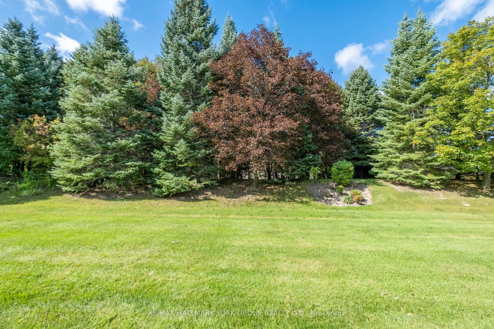 422 Falconwood Hollow #6
