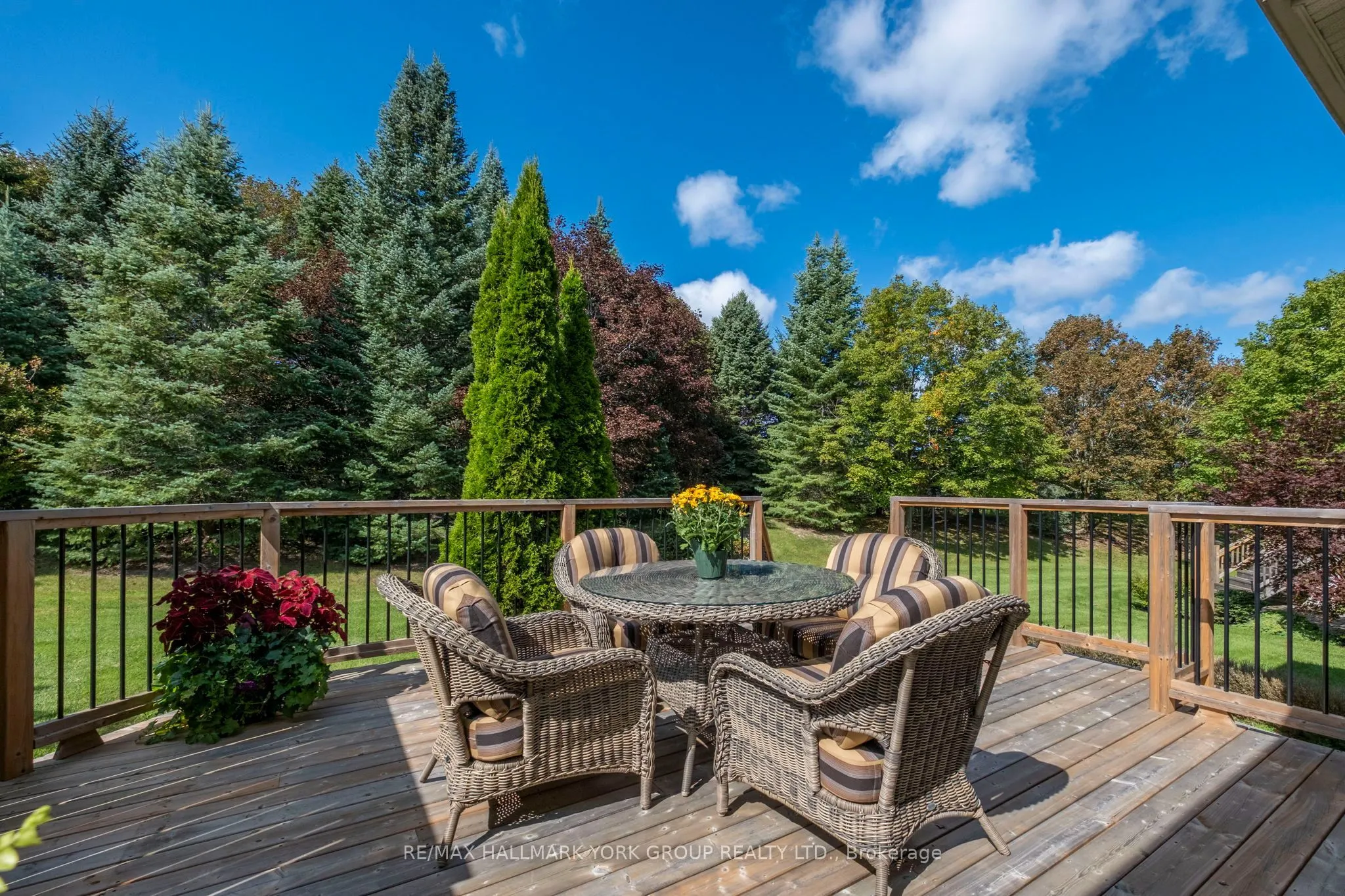 422 Falconwood Hollow #6