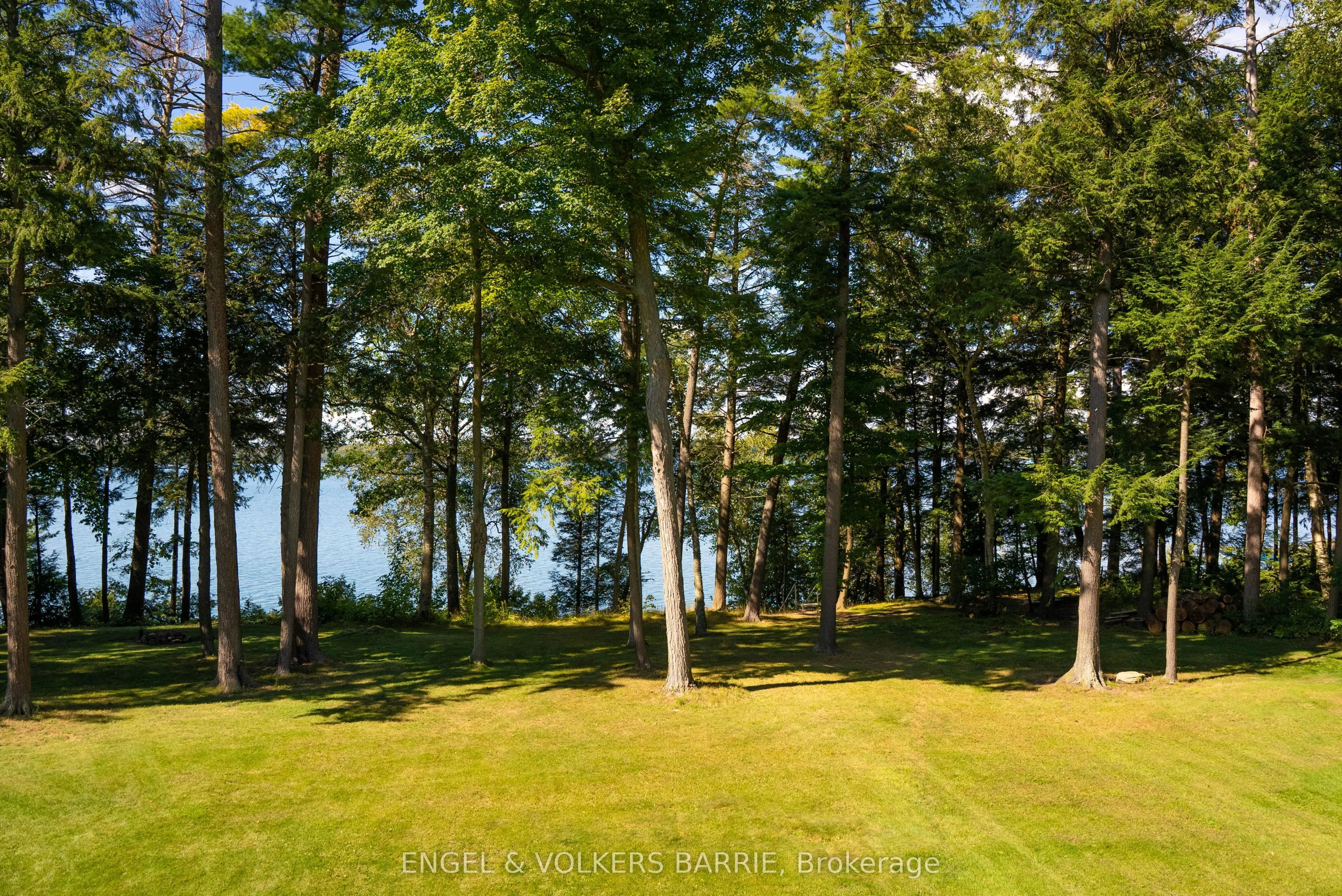 1220 Shoreview Drive