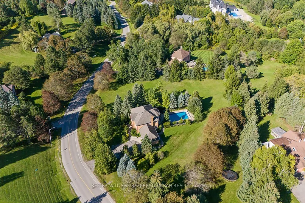 64 Elderberry Trail