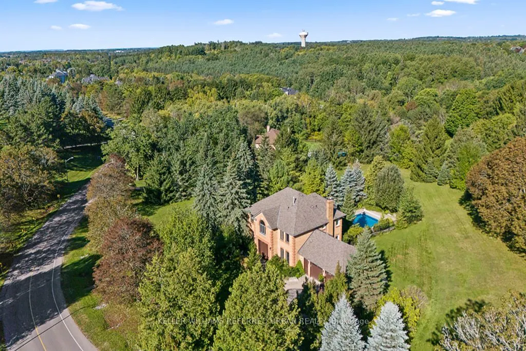 64 Elderberry Trail