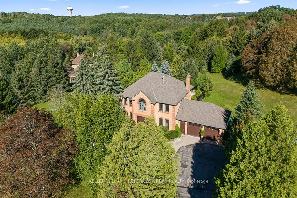 64 Elderberry Trail
