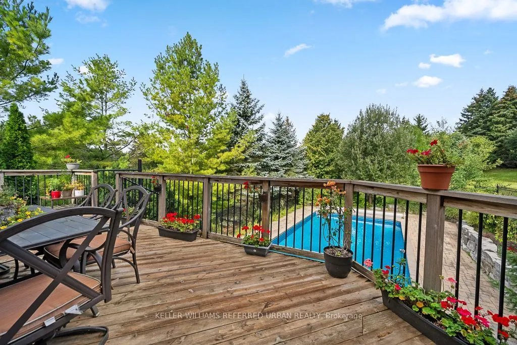 64 Elderberry Trail