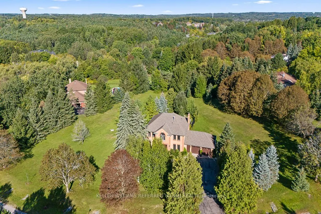 64 Elderberry Trail