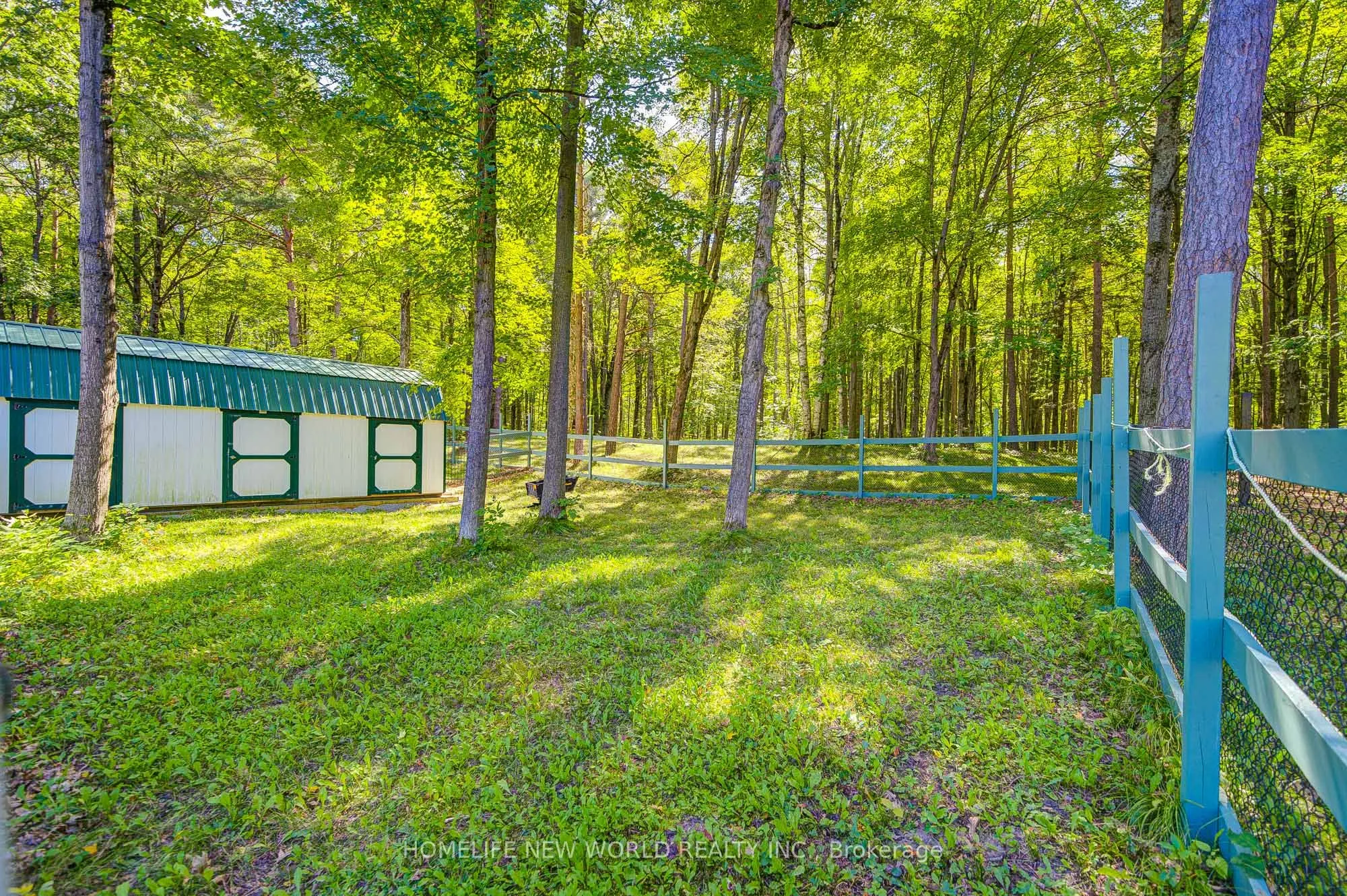 3659 Aurora Road