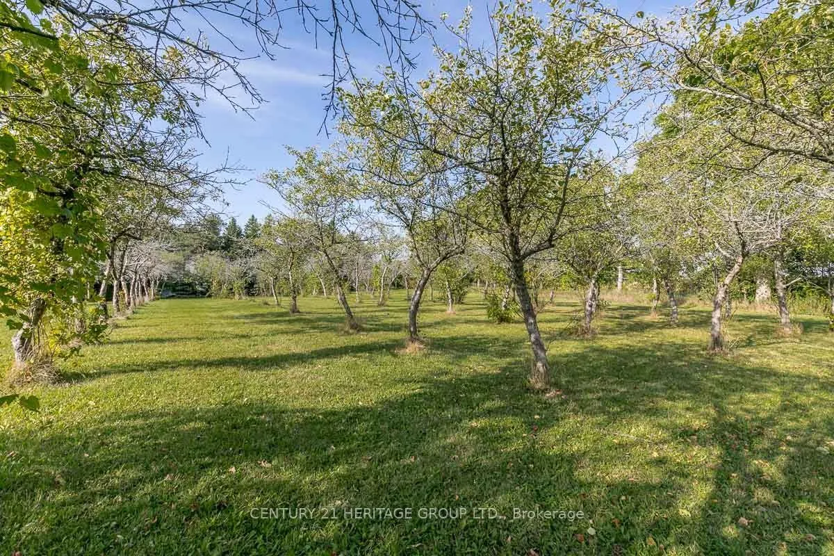 3515 Sideroad 10