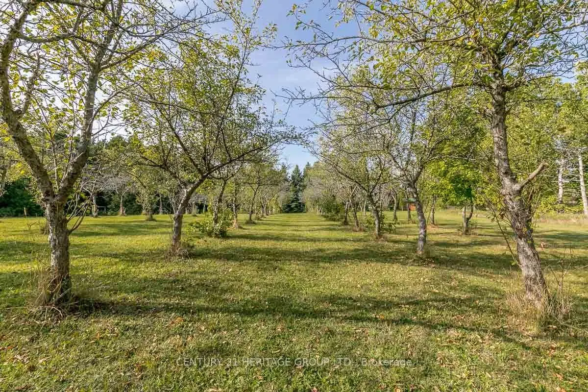 3515 Sideroad 10