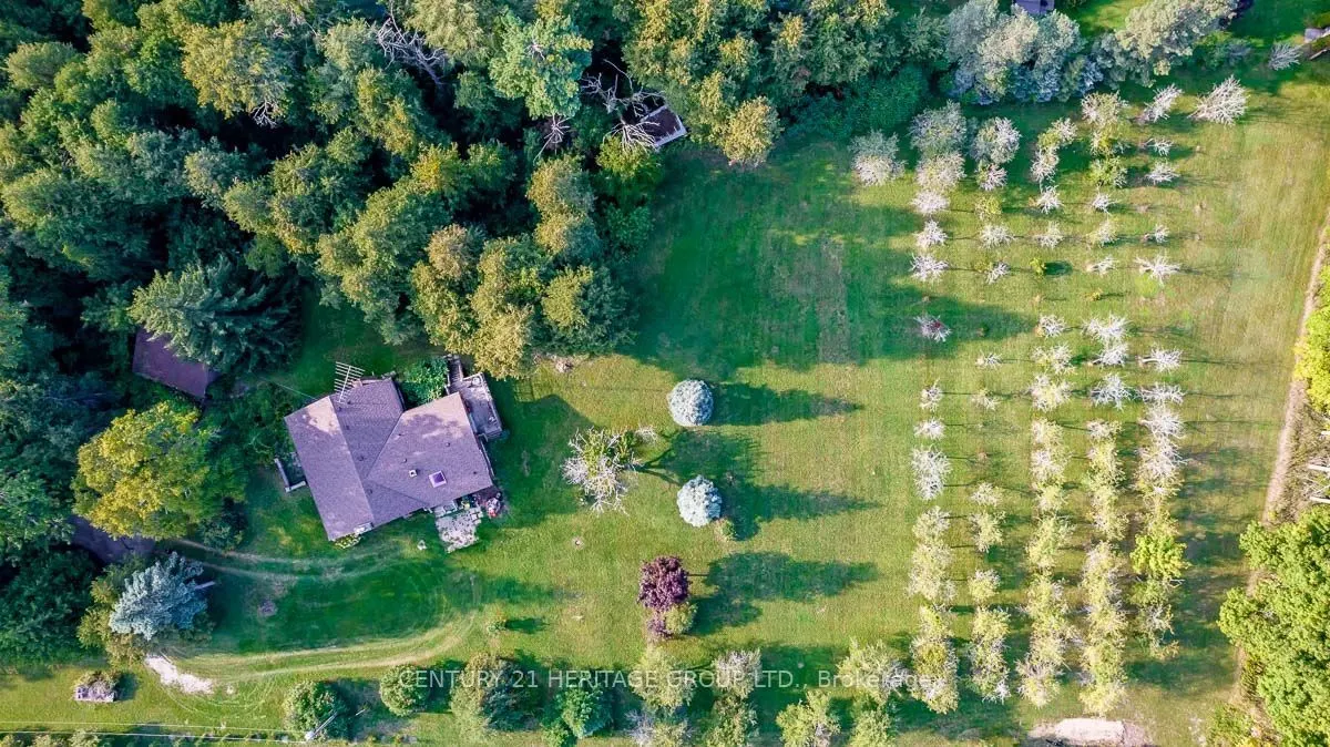 3515 Sideroad 10