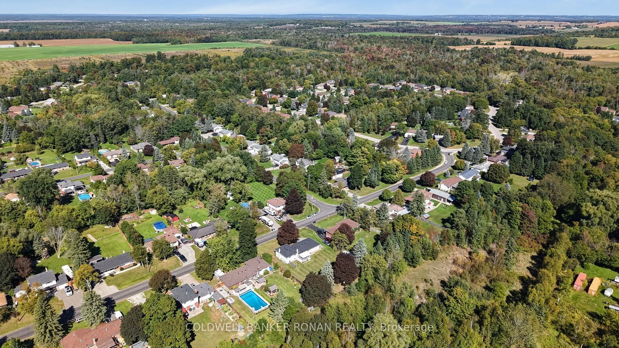 13 Grohal Drive