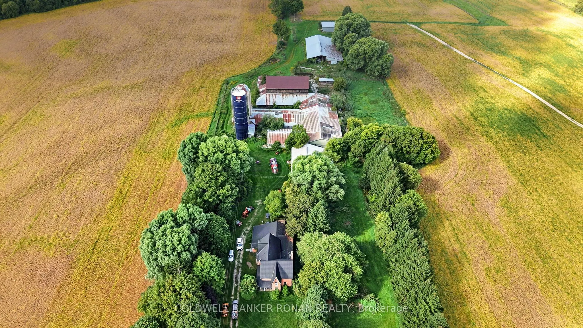 3182 Concession Road 5