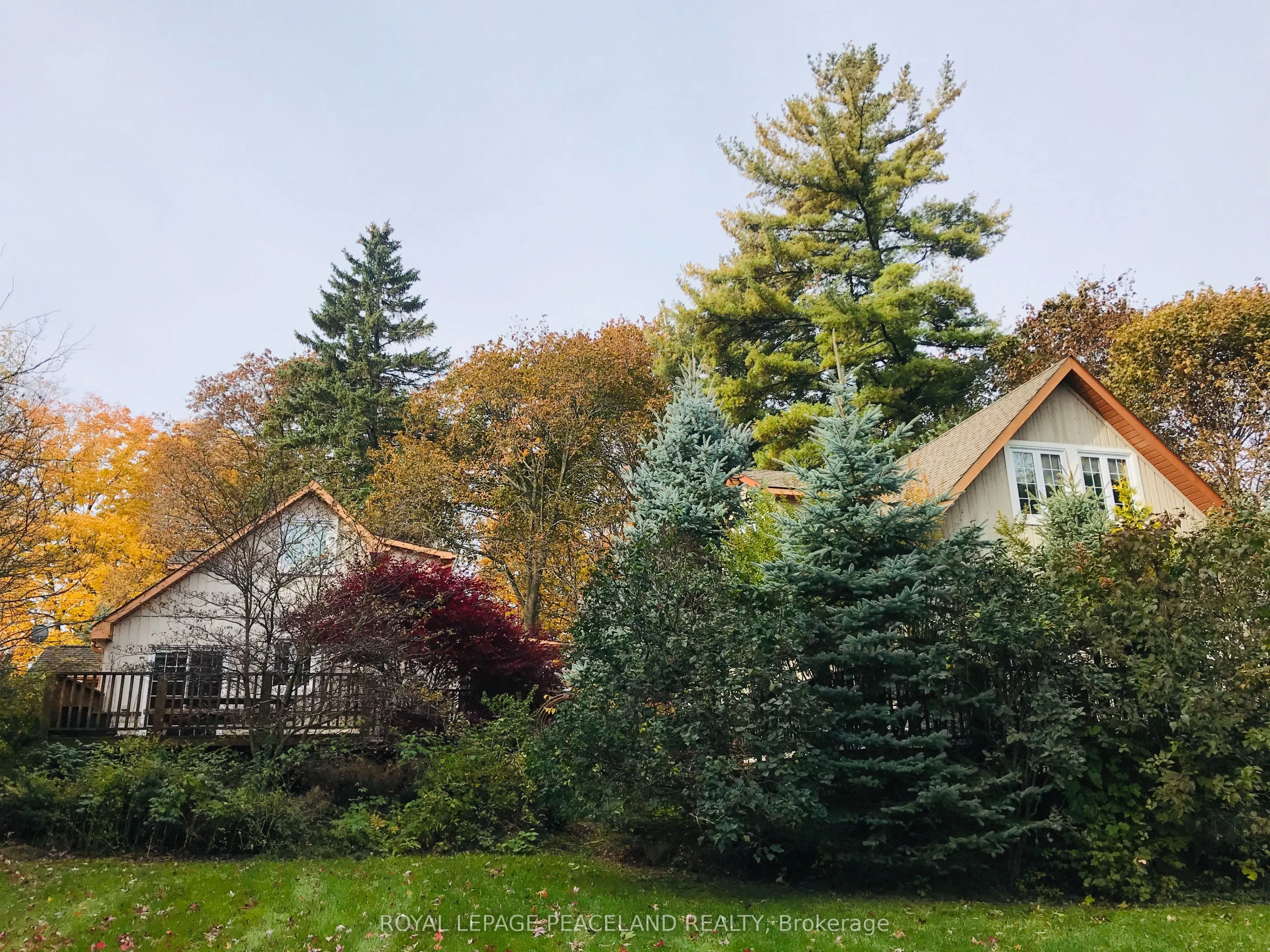 719 Old Bathurst Street #1A