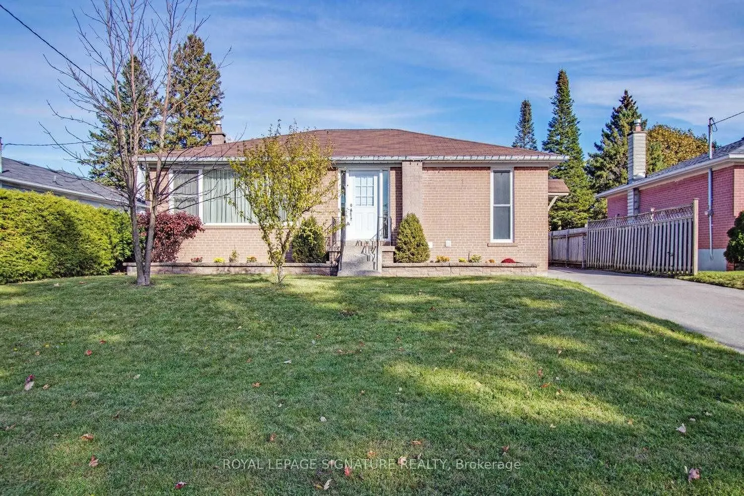 11 Patrick Drive