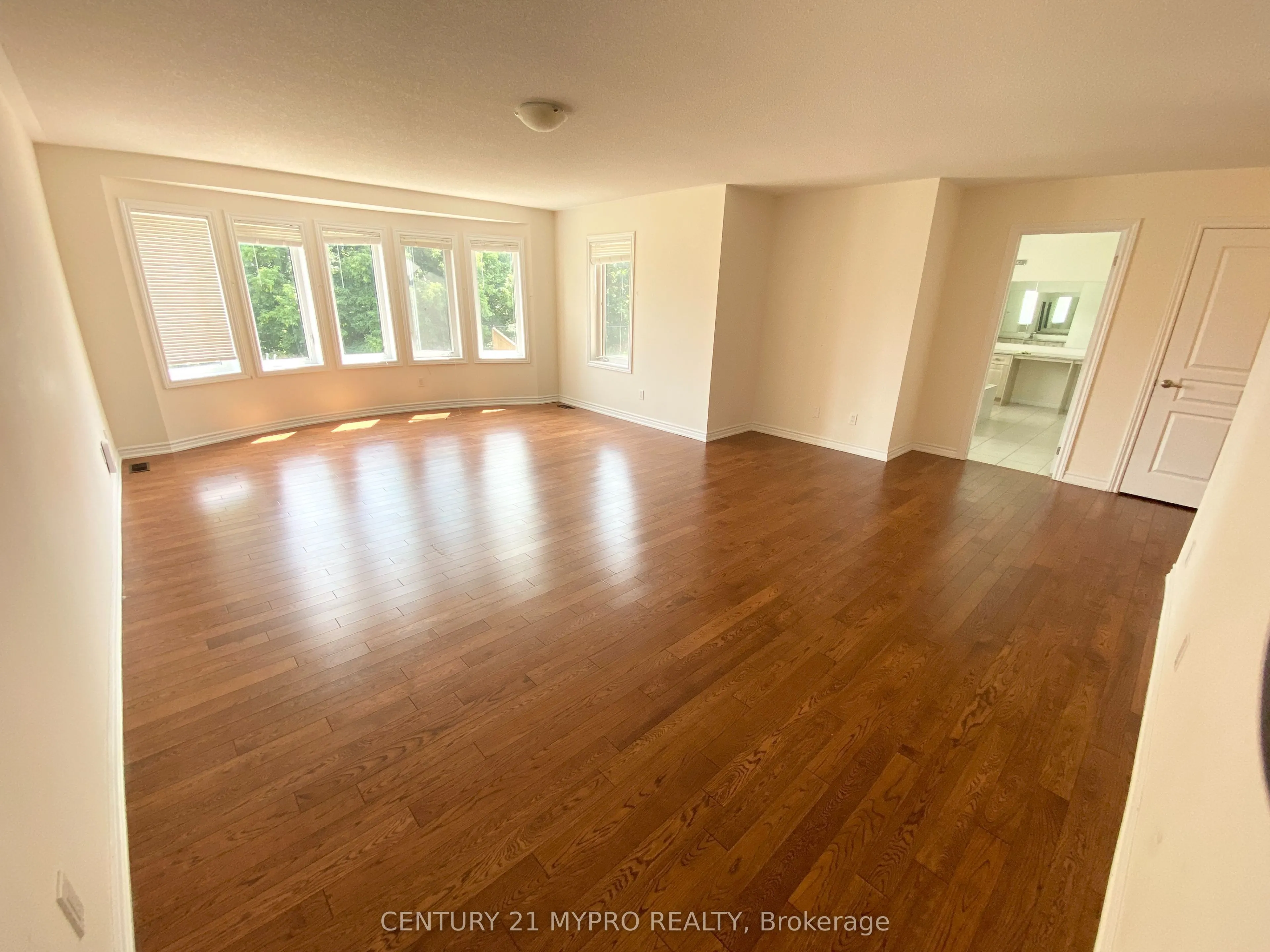 81 David Willson Trail
