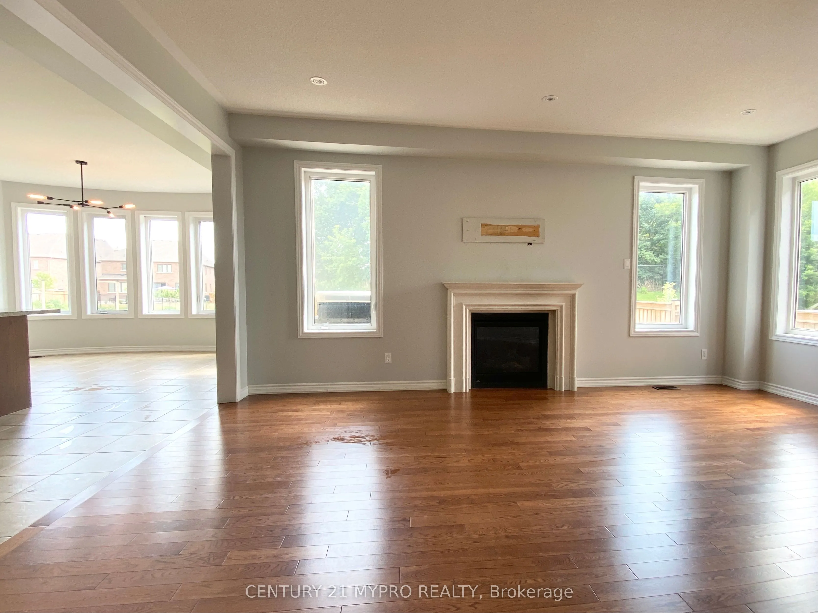 81 David Willson Trail