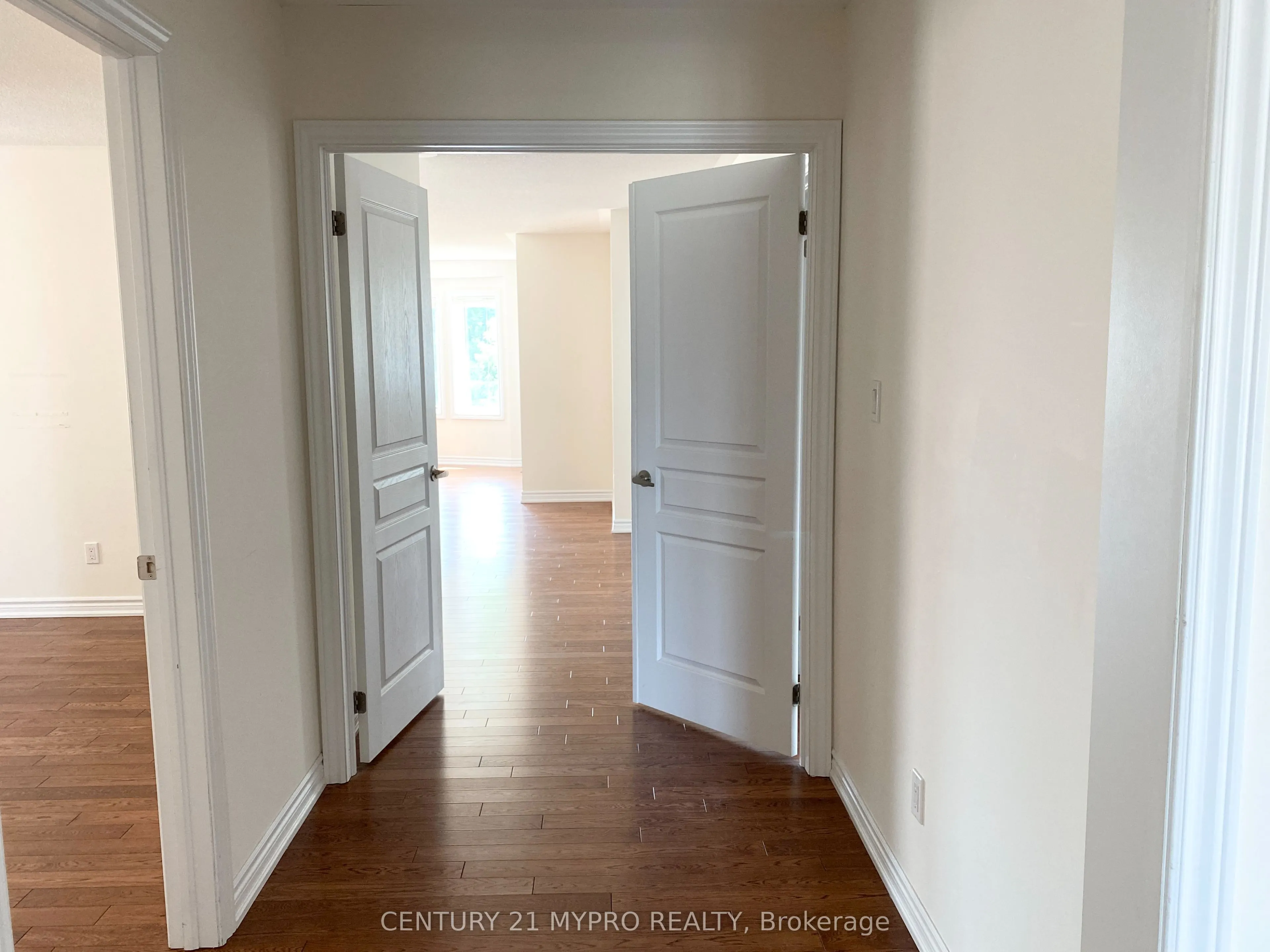 81 David Willson Trail