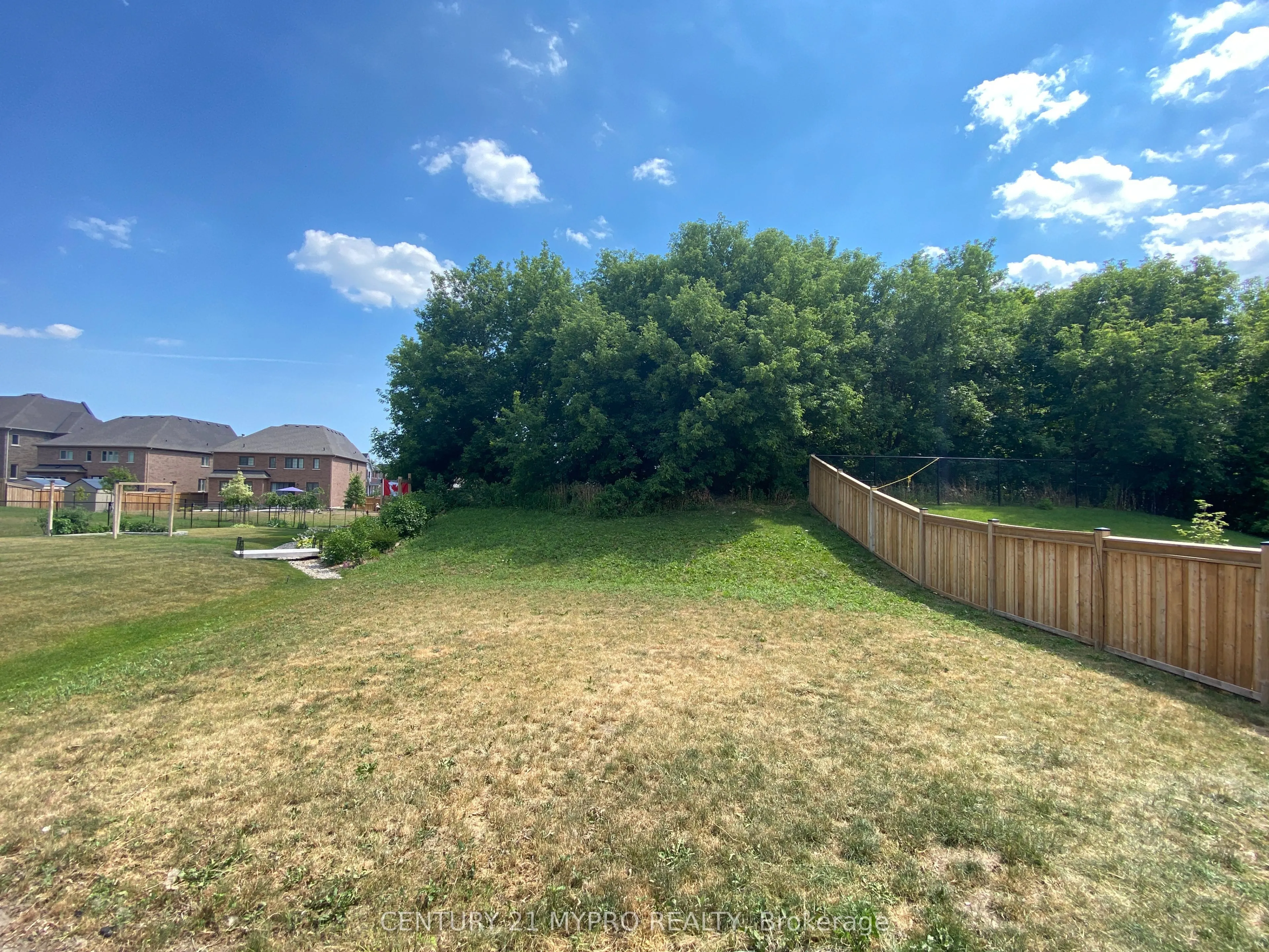 81 David Willson Trail