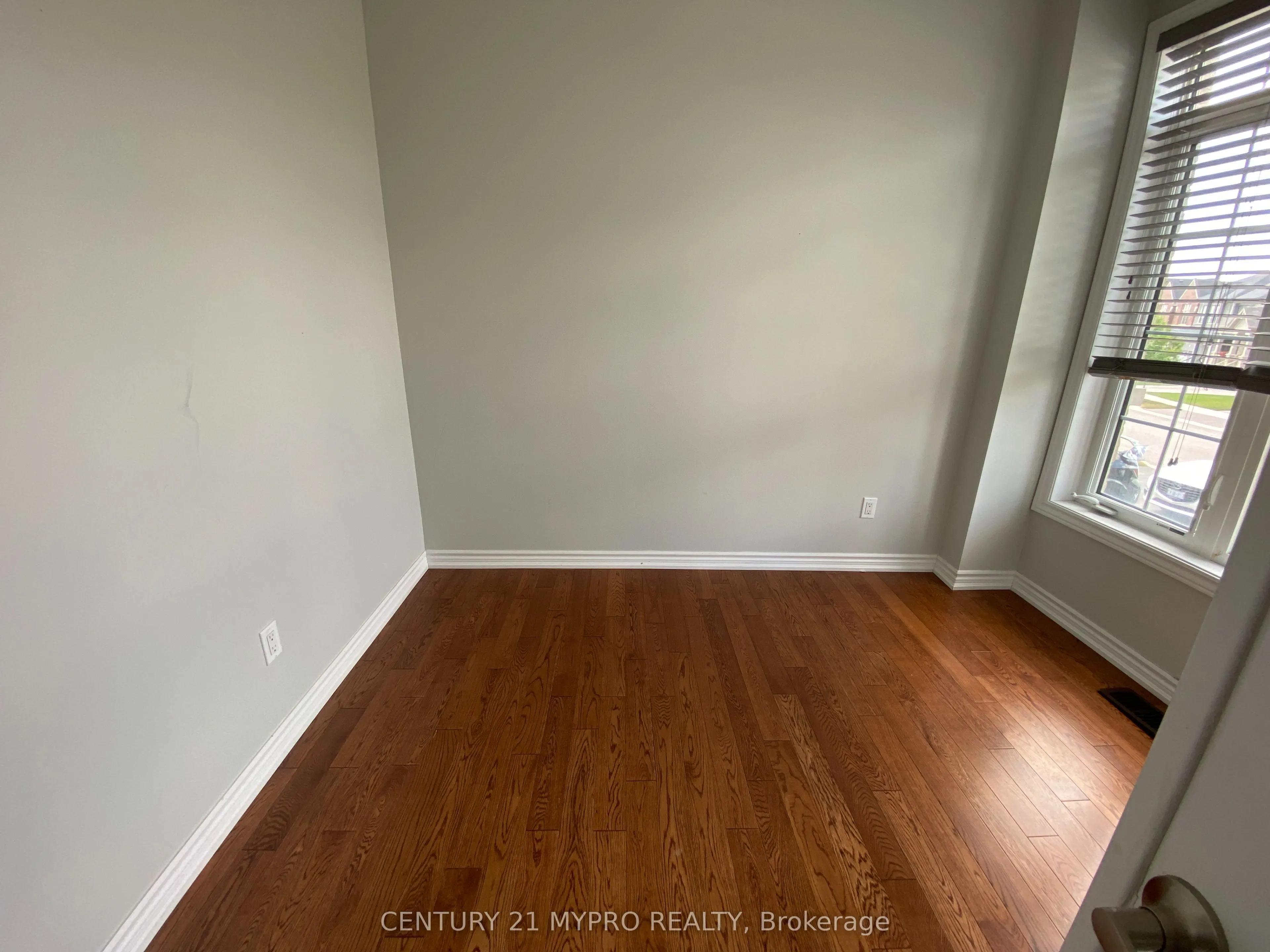 81 David Willson Trail