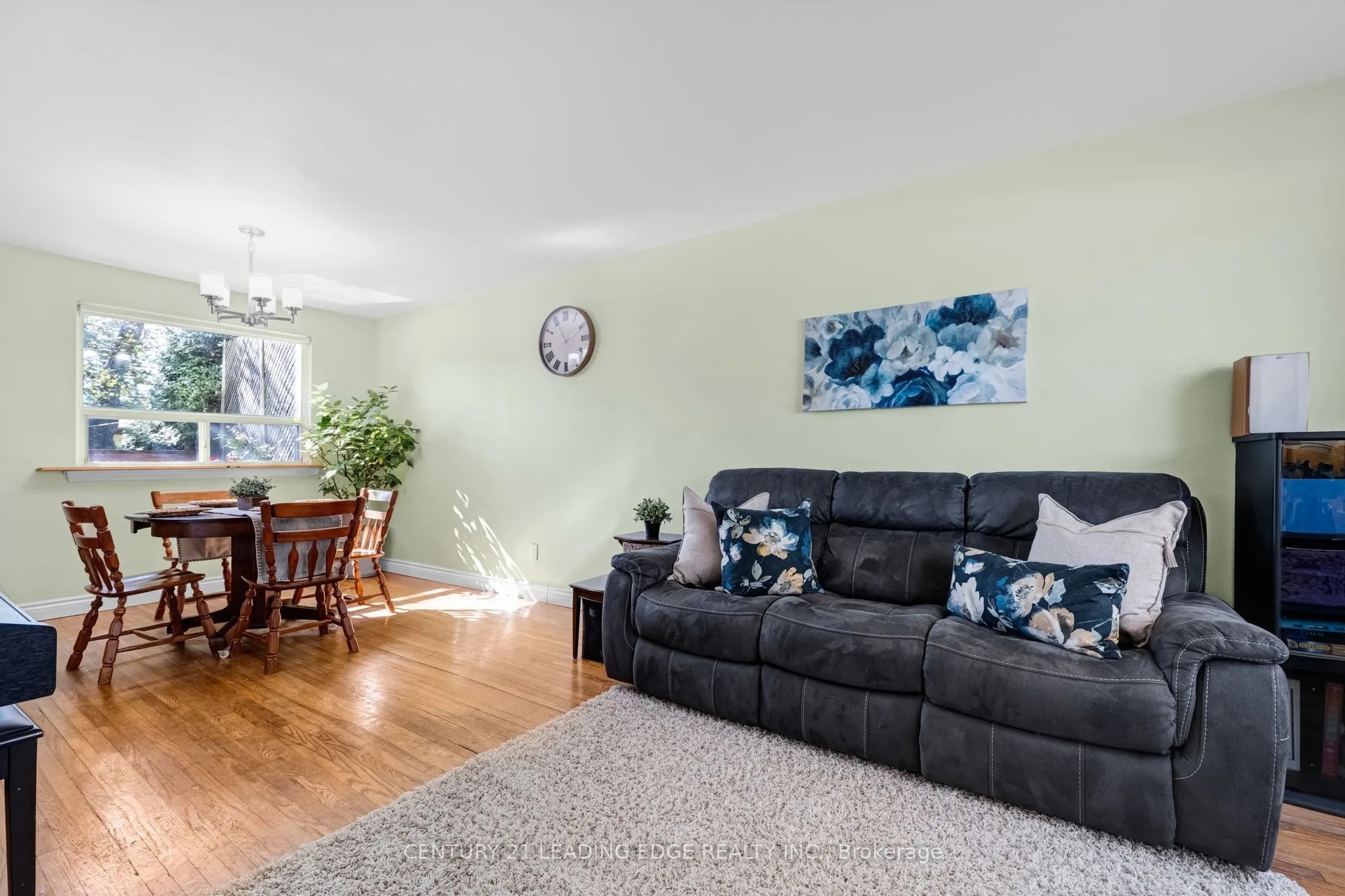 234 Beechy Drive