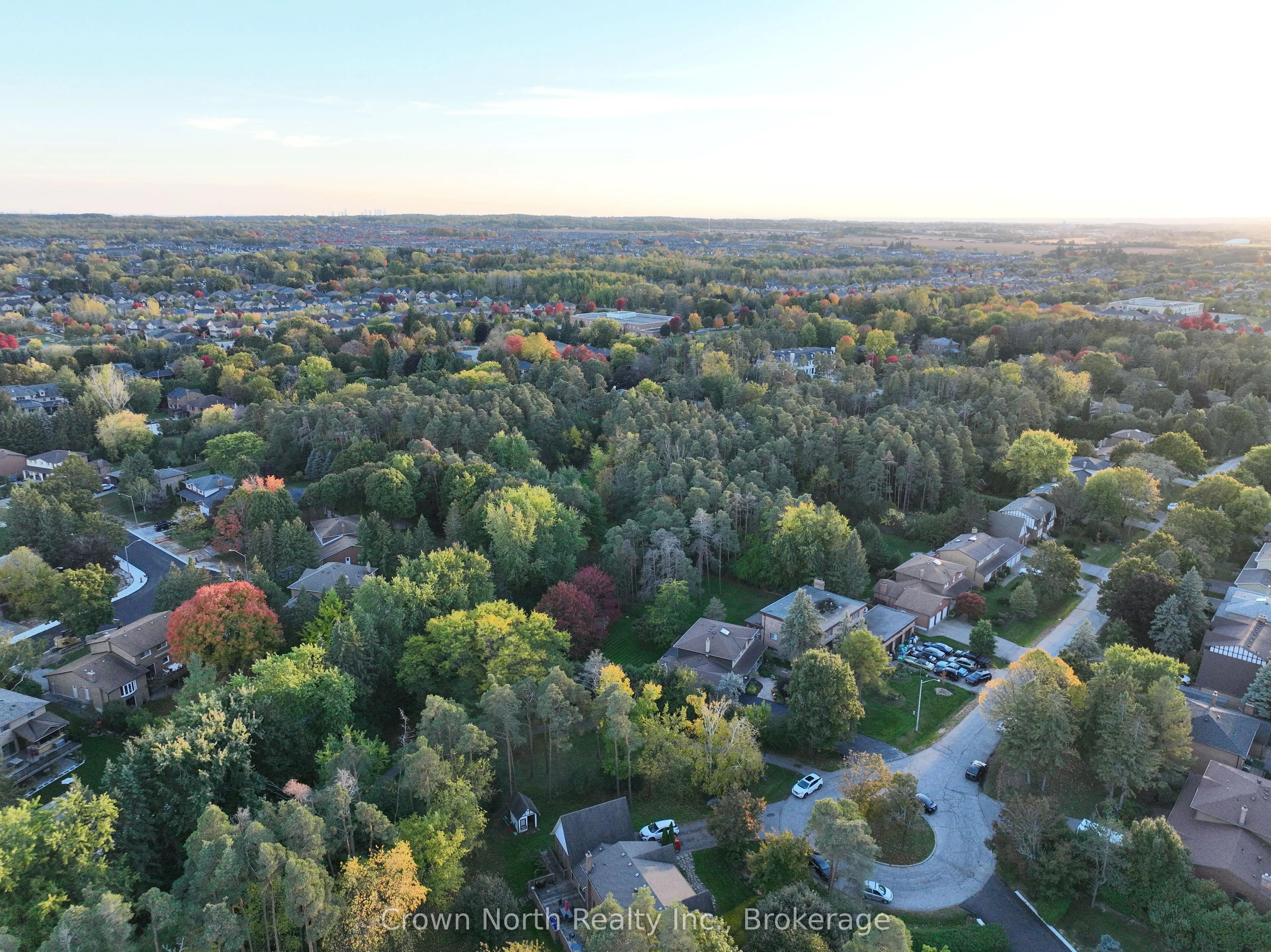 17 Black Willow Court