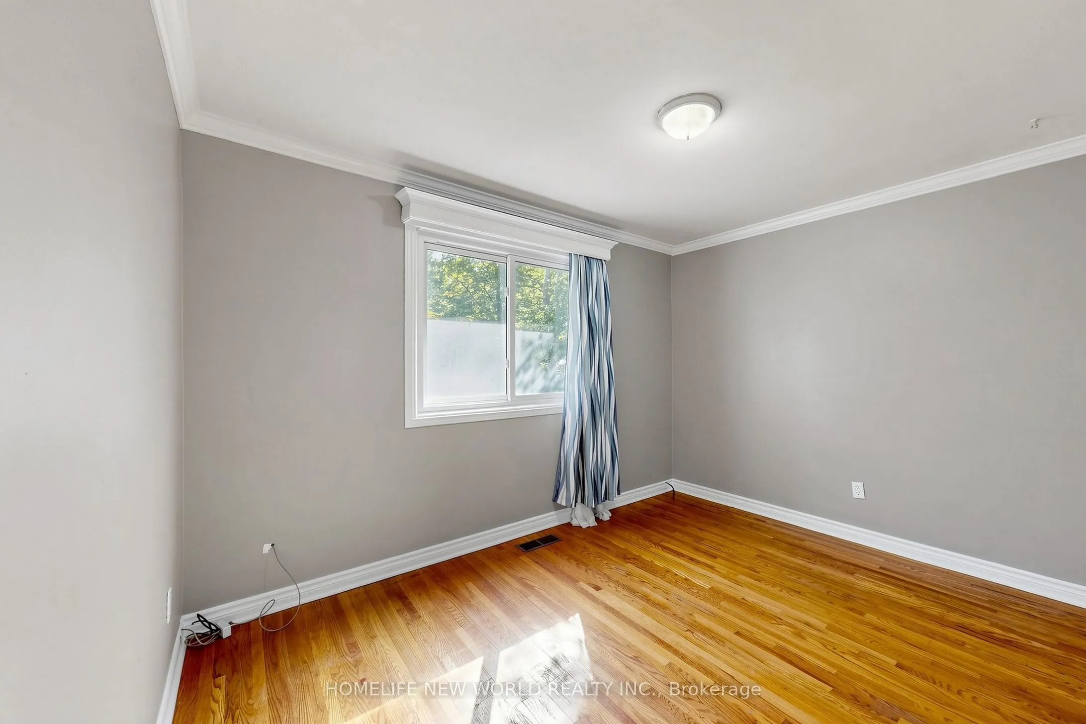 65 Walter Avenue