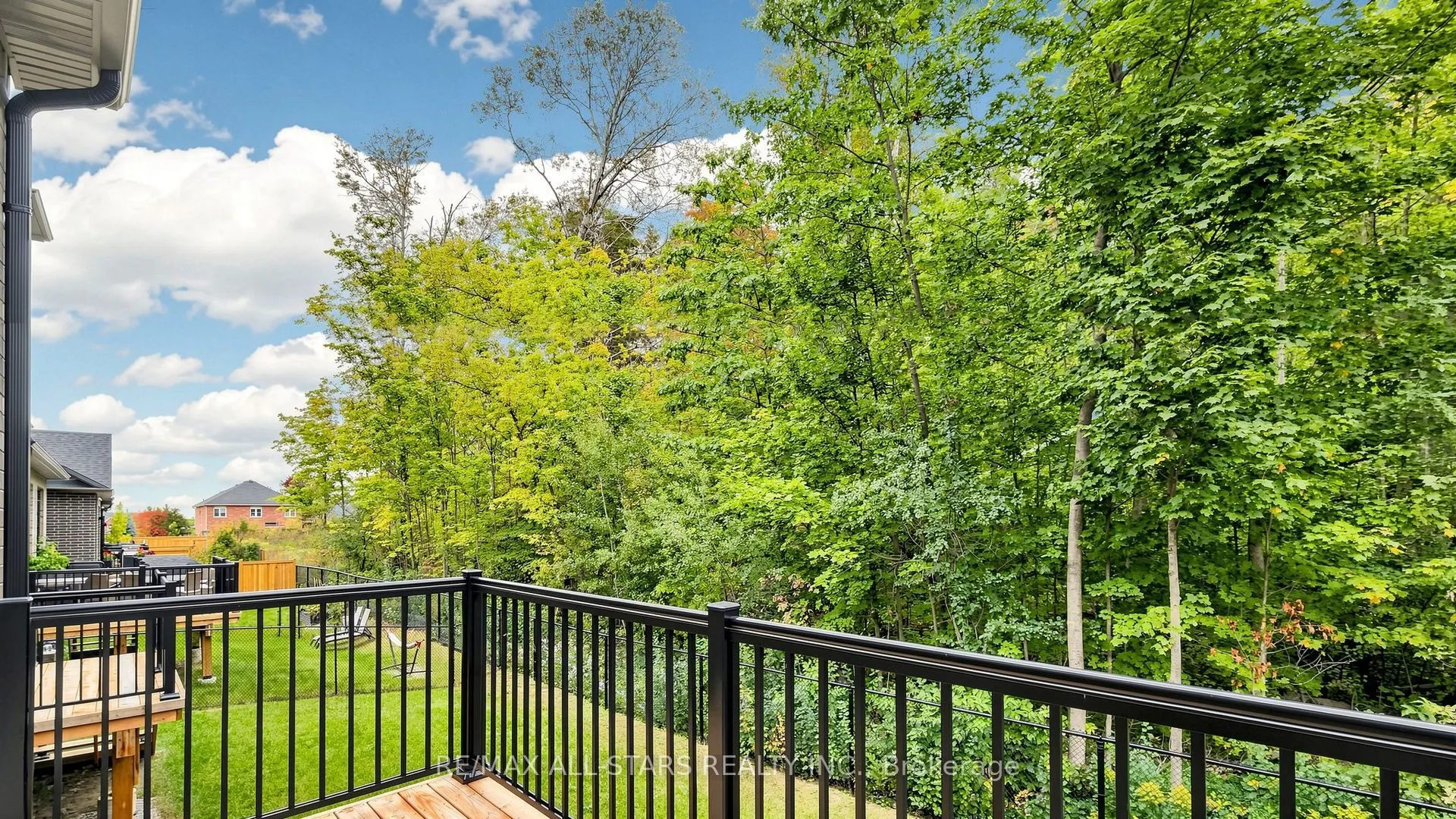 1 Lois Torrance Trail