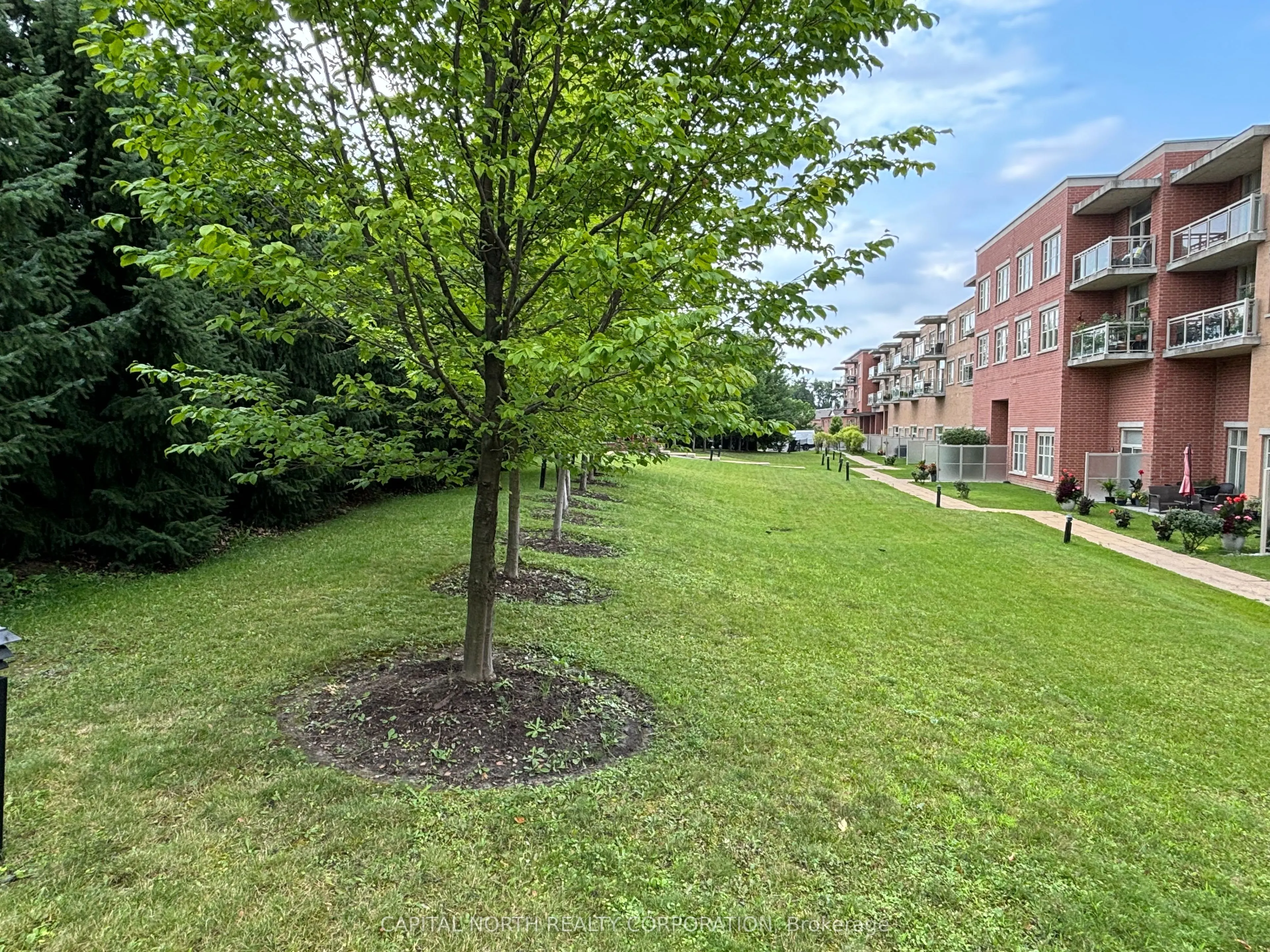 10211 Keele Street #217