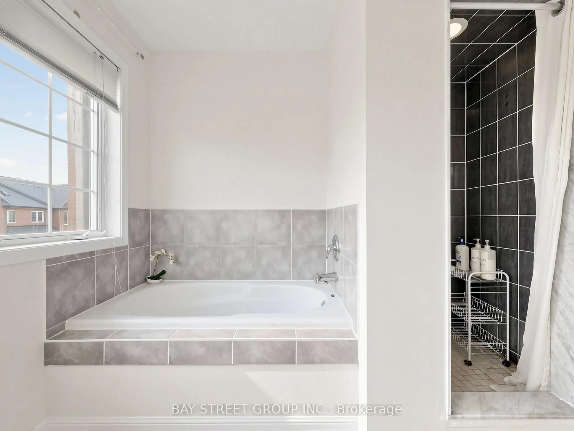 4 St Moritz Way #2