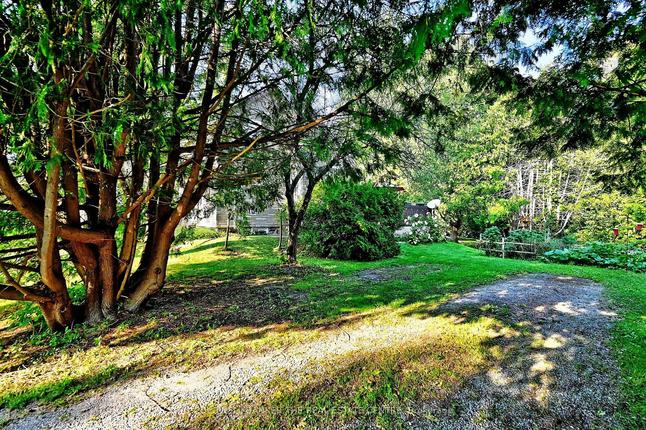 20805 Brock Road