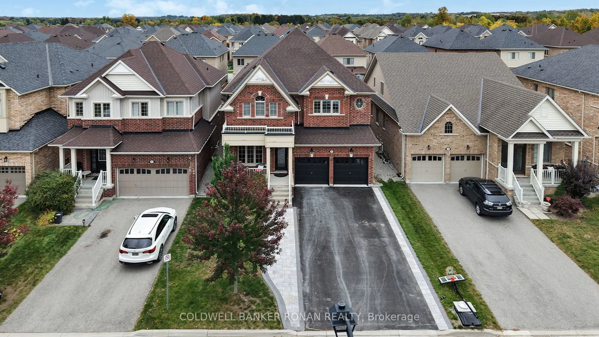 37 McGovern Street