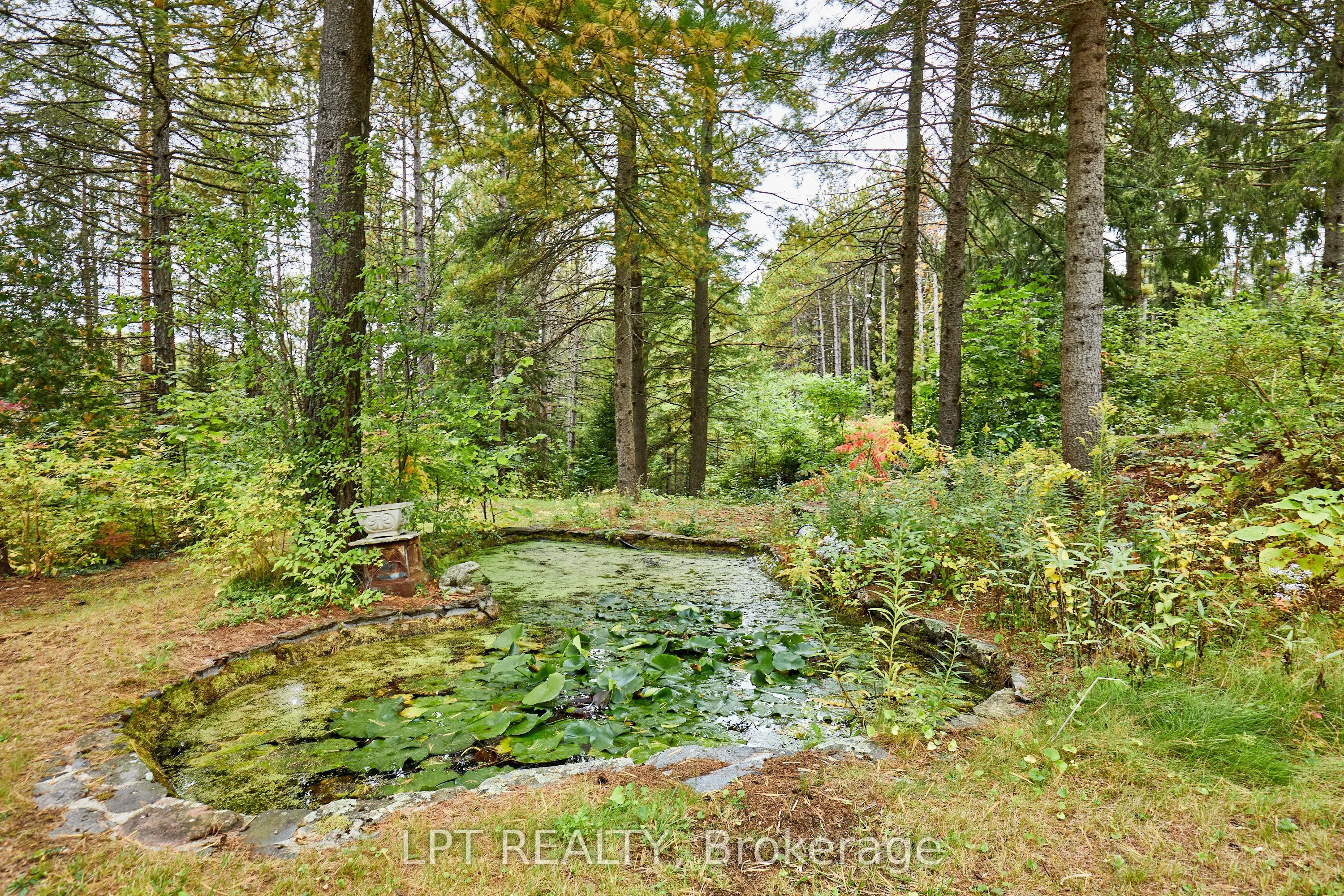 298 Wees Road