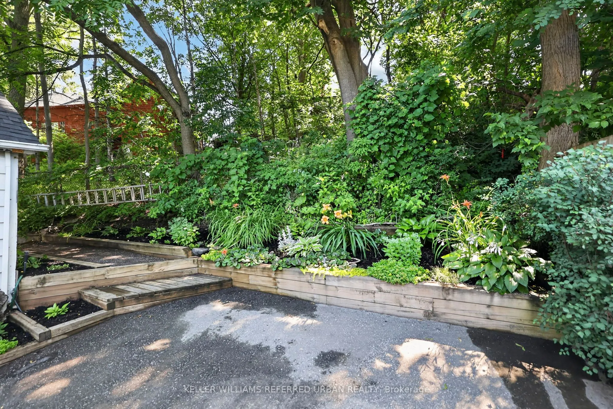 341 Cotter Street