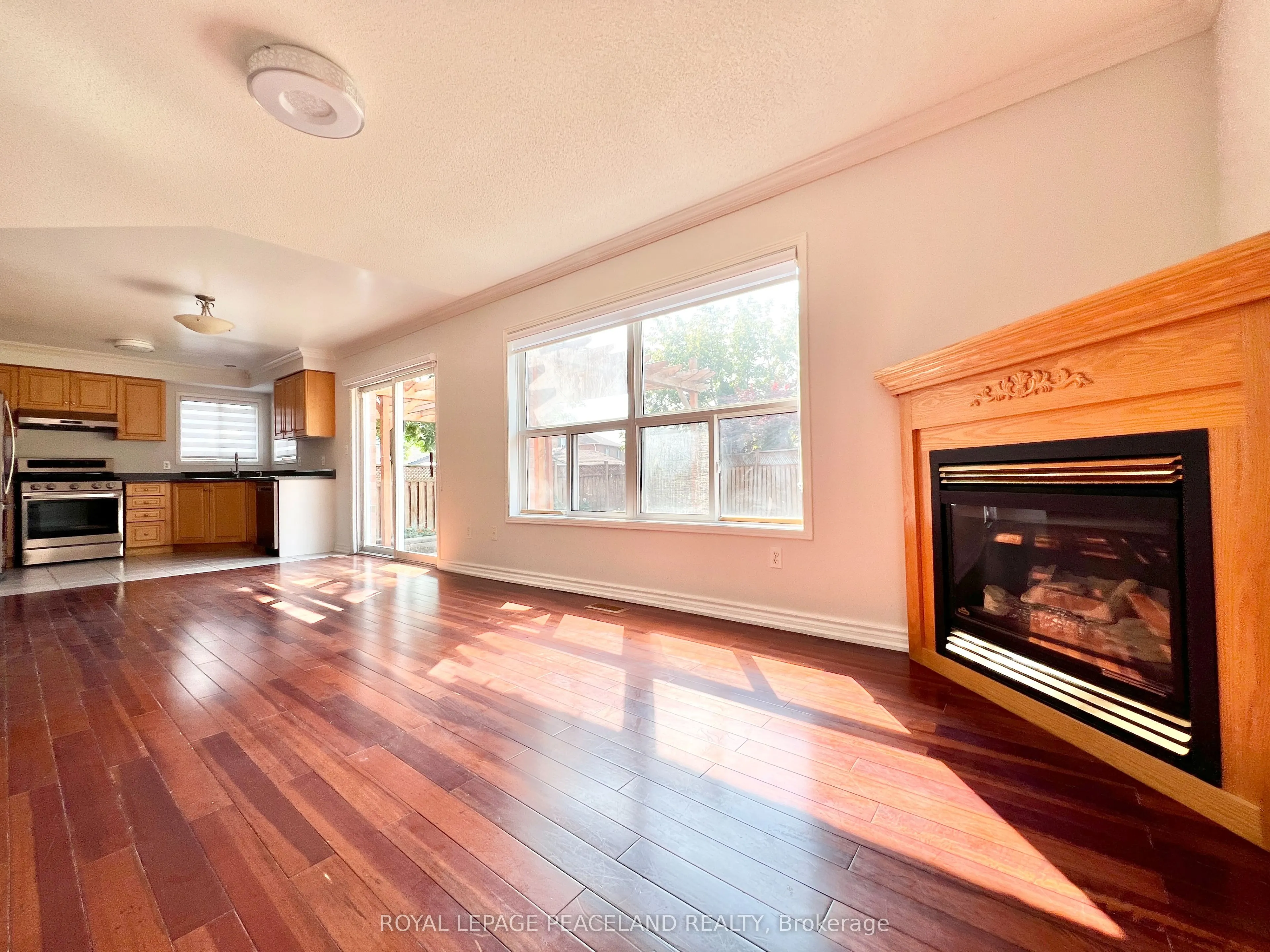 54 Treasure Road