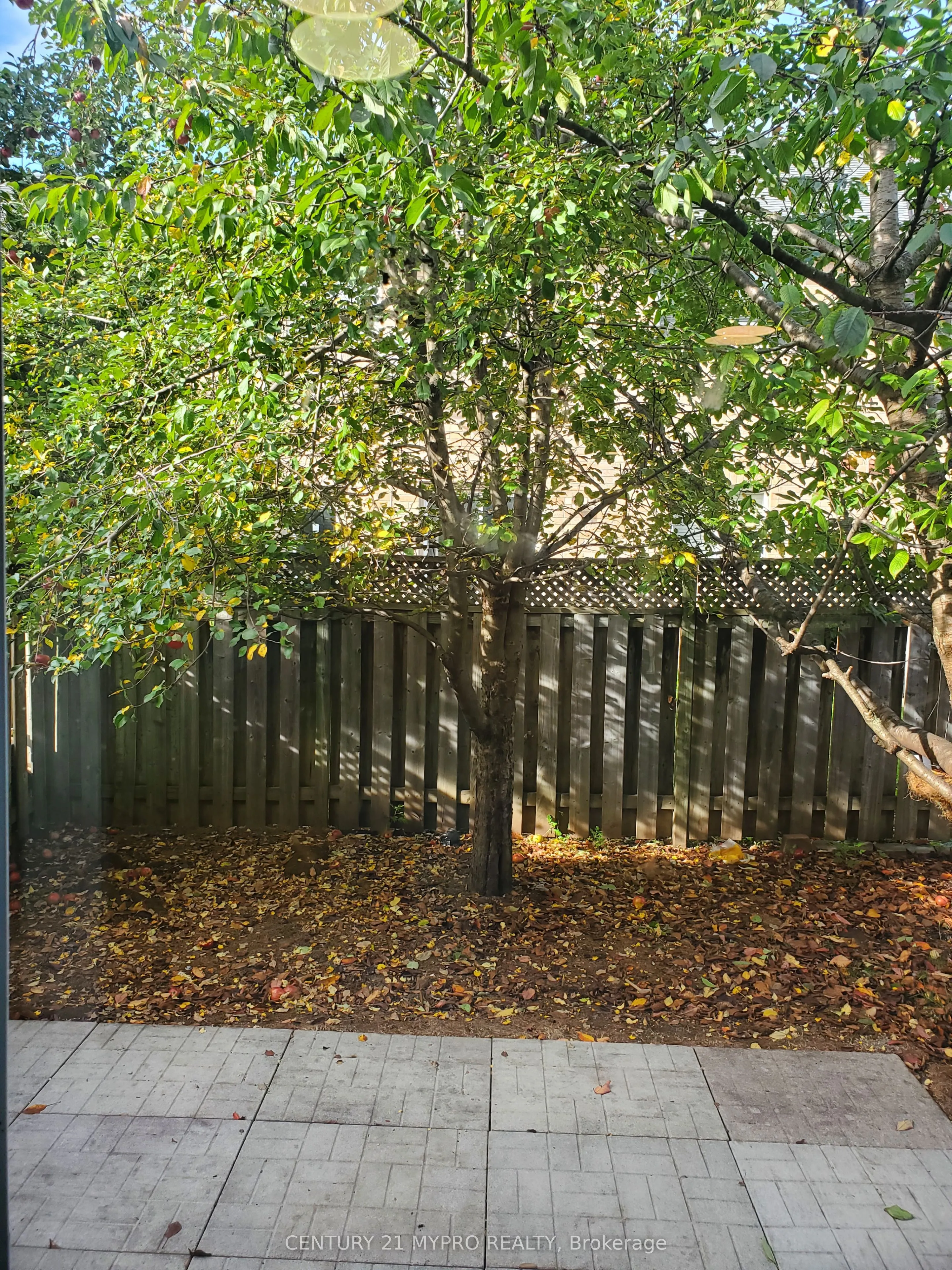 44 Grasslands Avenue