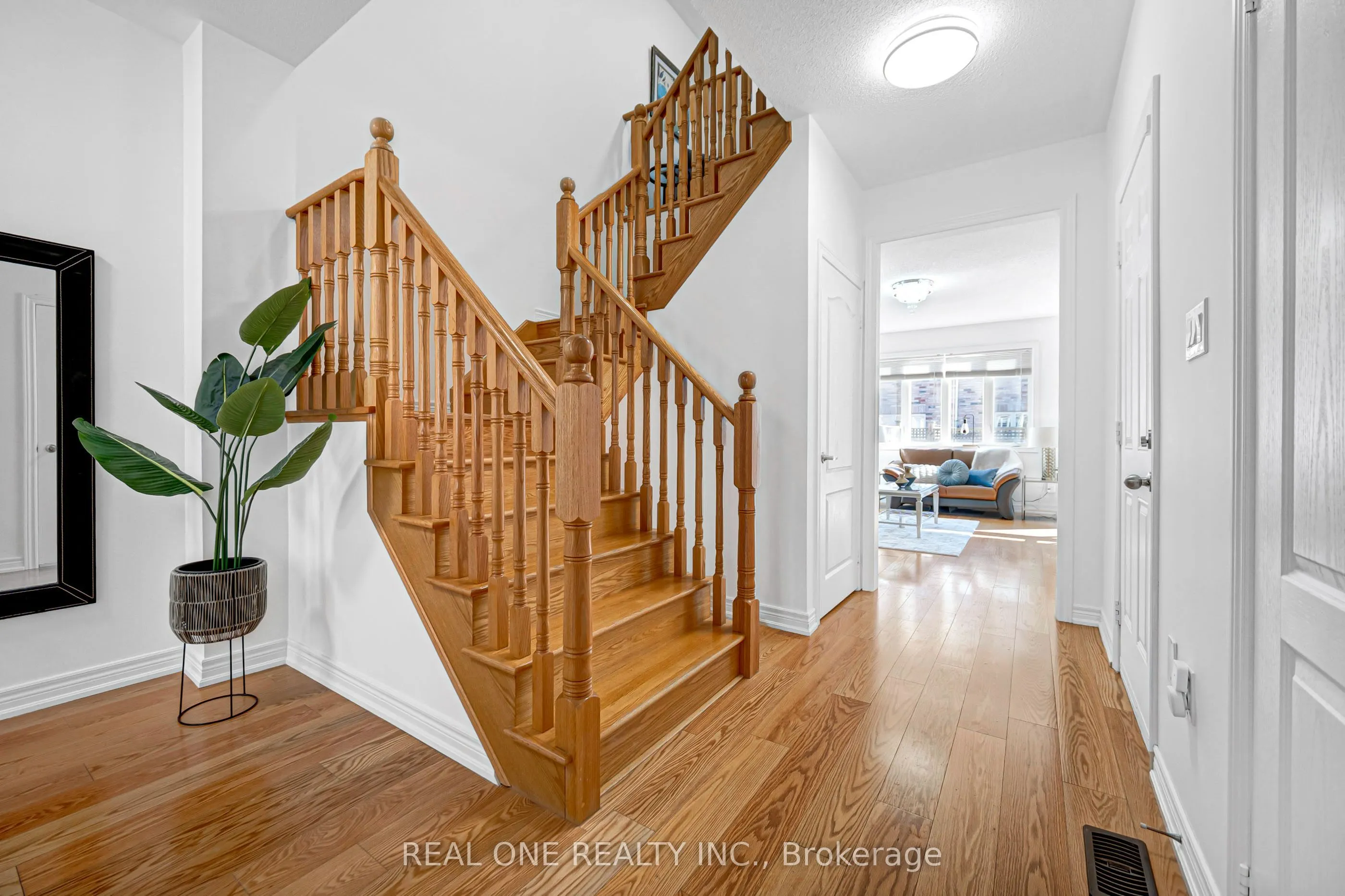 19 Begonia Street