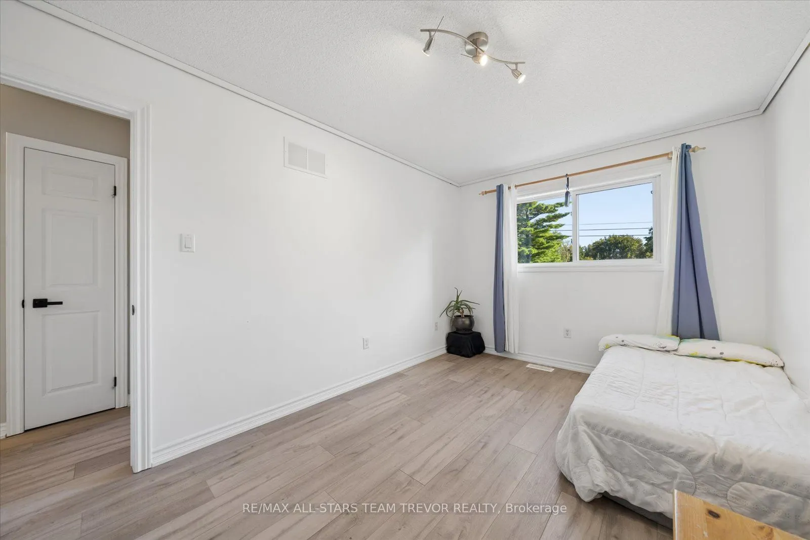 16 Evelyn Avenue